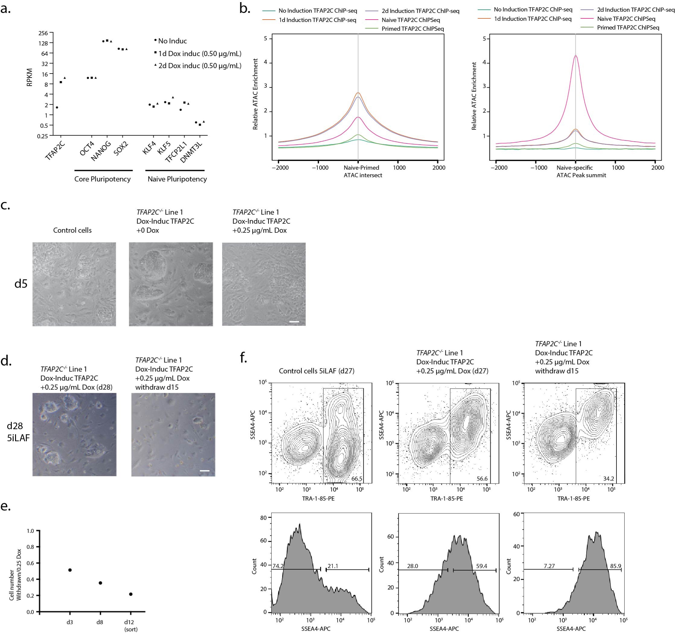 Supplementary Fig. 5