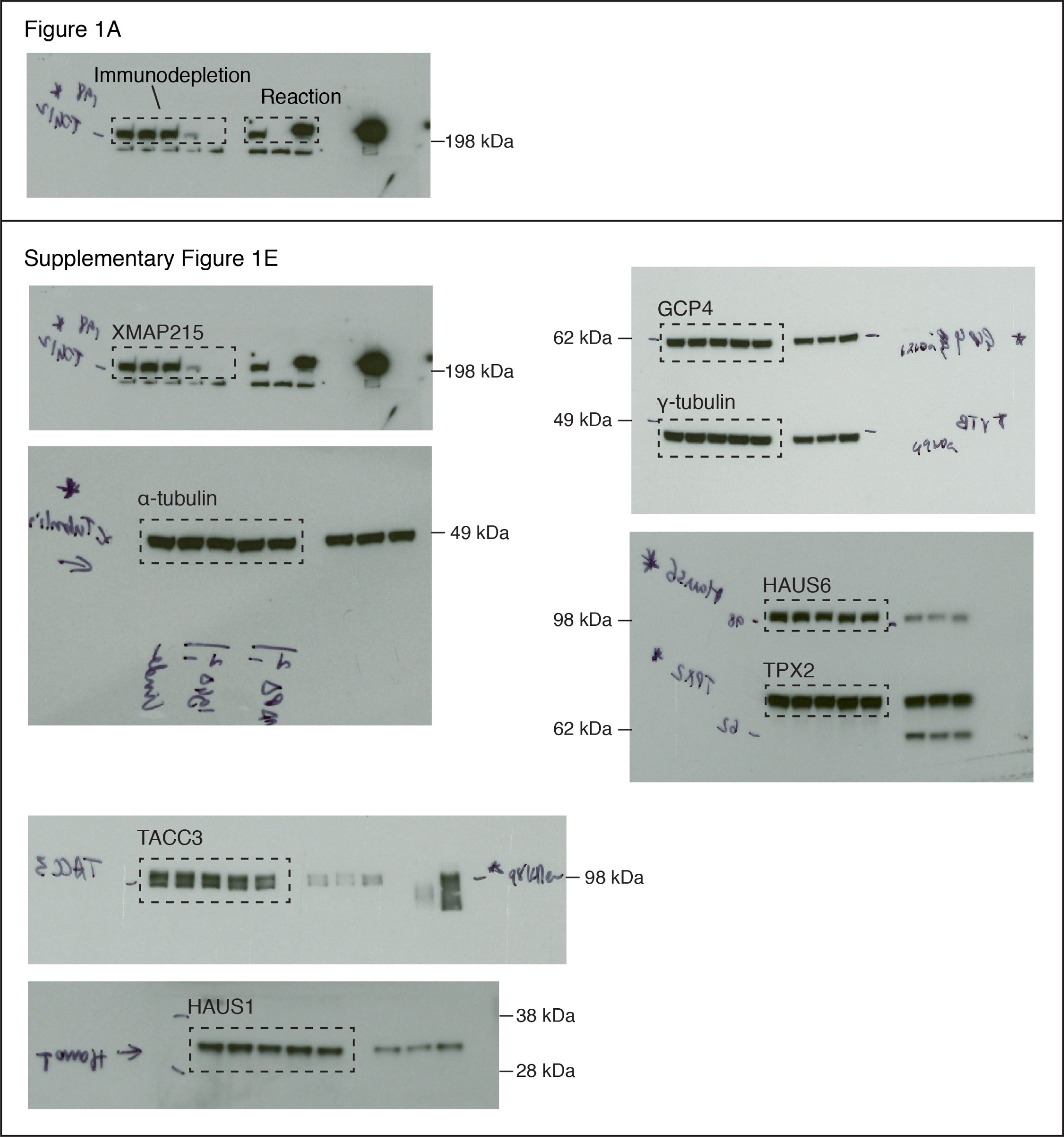 Supplementary Figure 9
