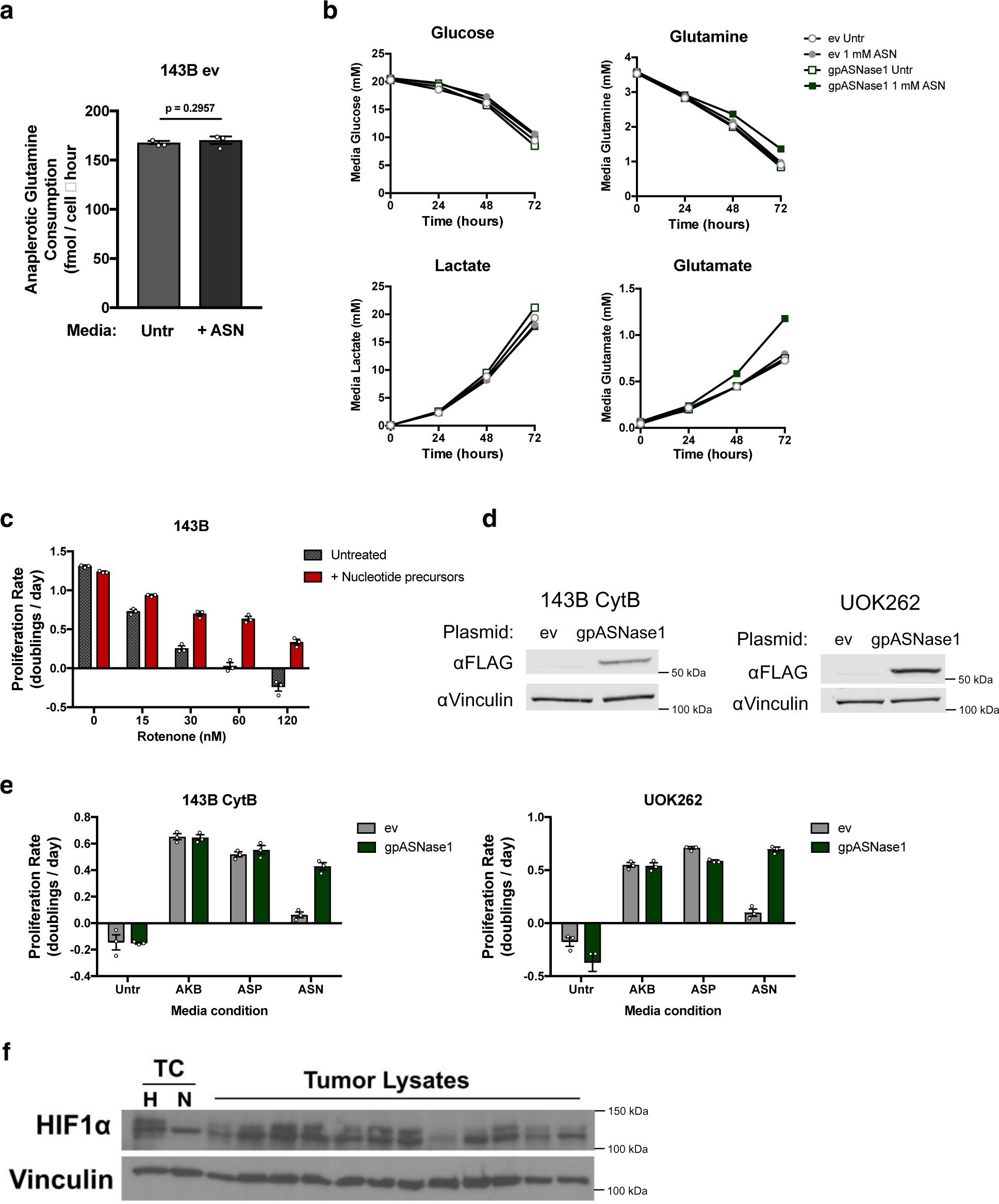Supplementary Figure 3