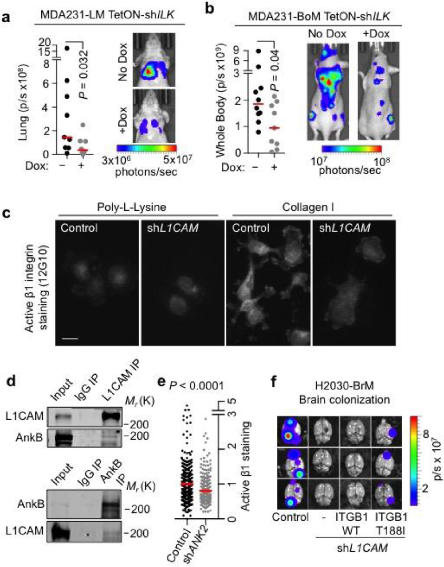 Supplementary Figure 7