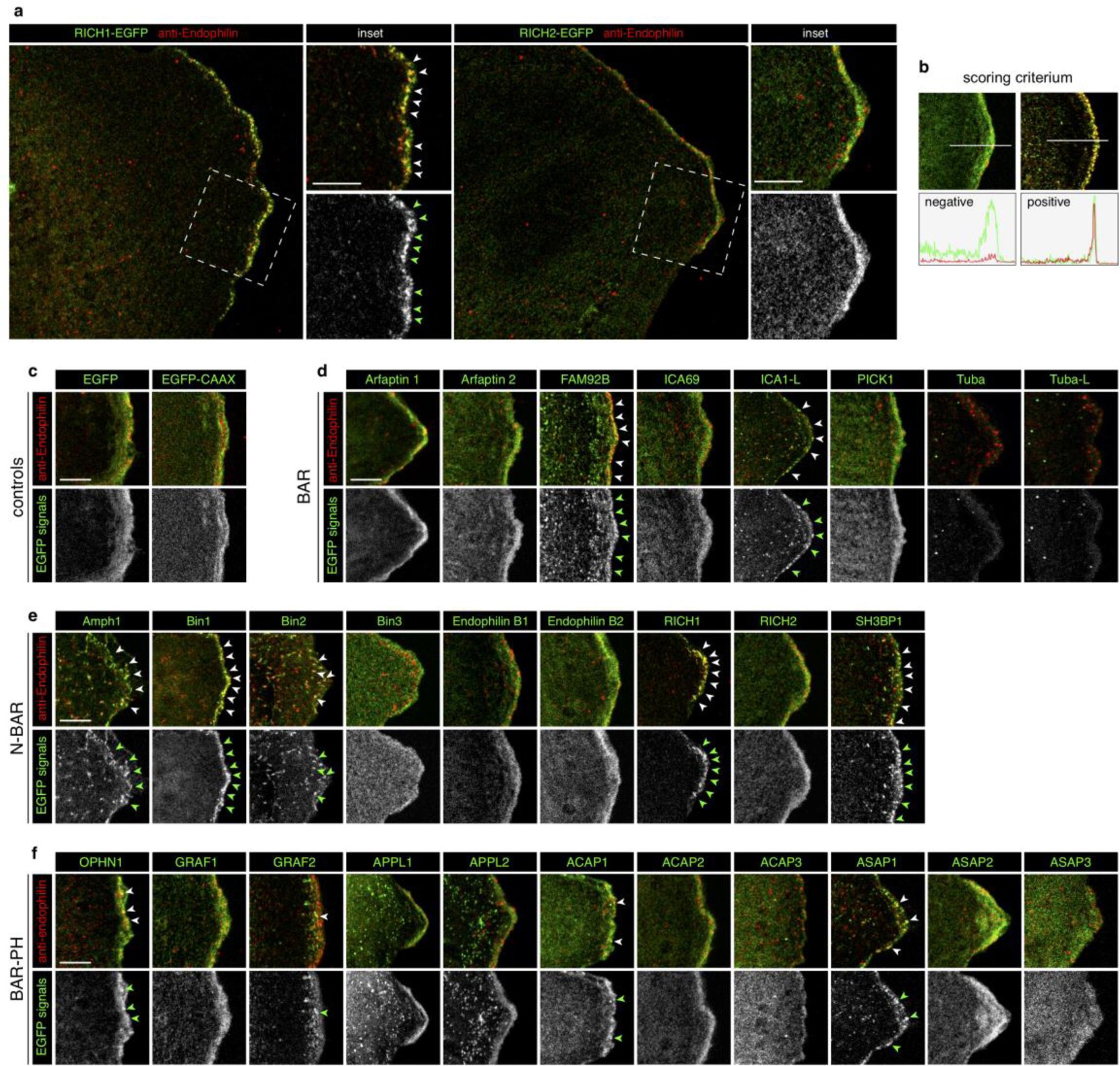 Supplementary Figure 3