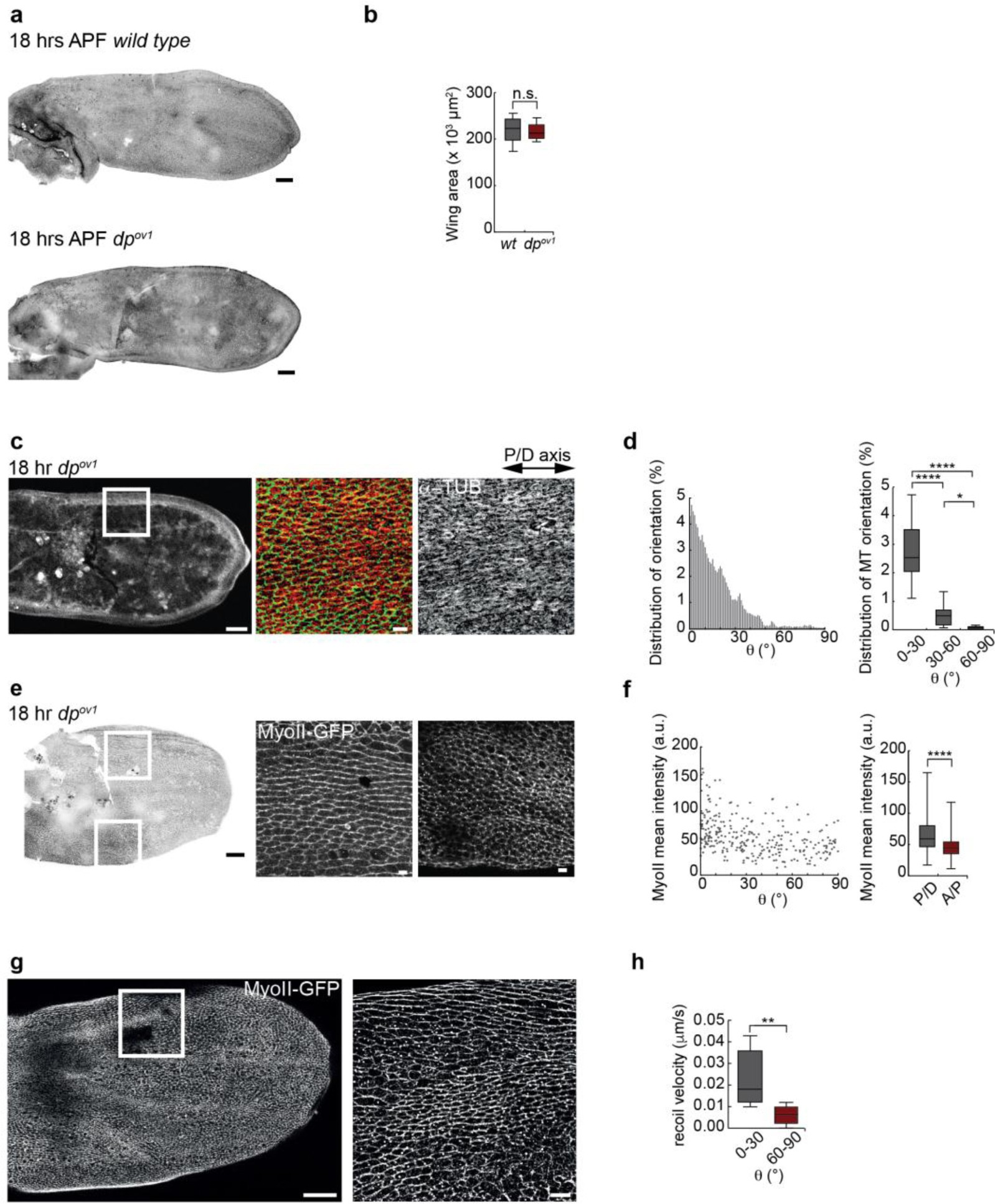 Supplementary Figure 3