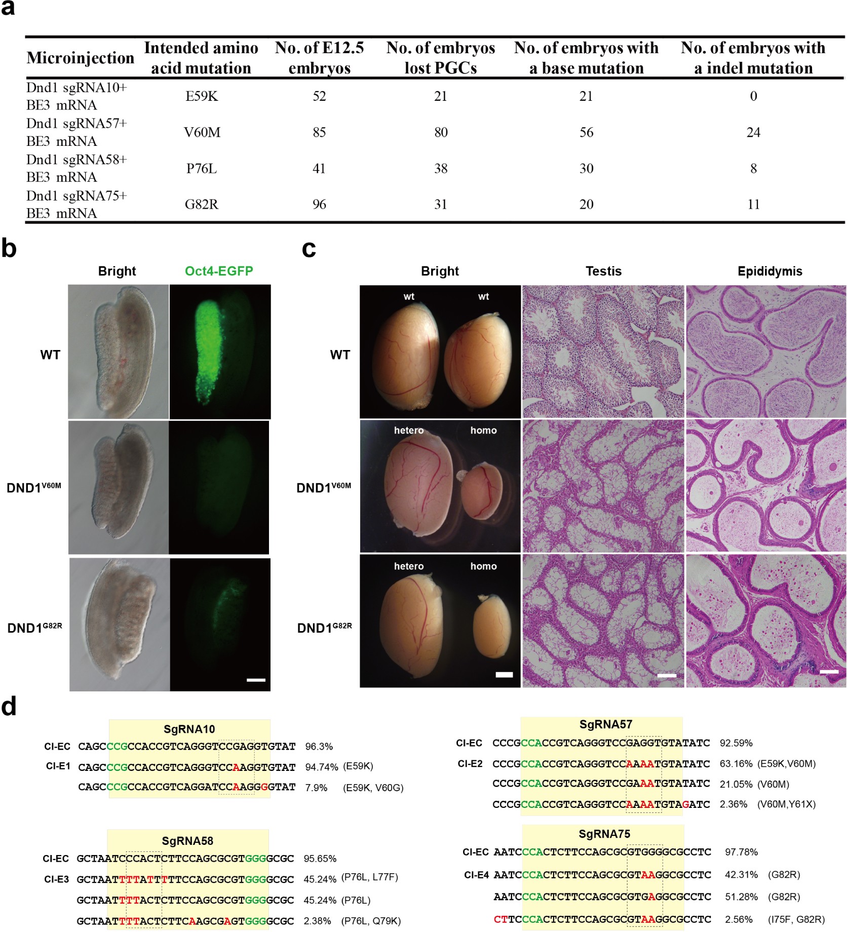 Supplementary Figure 5
