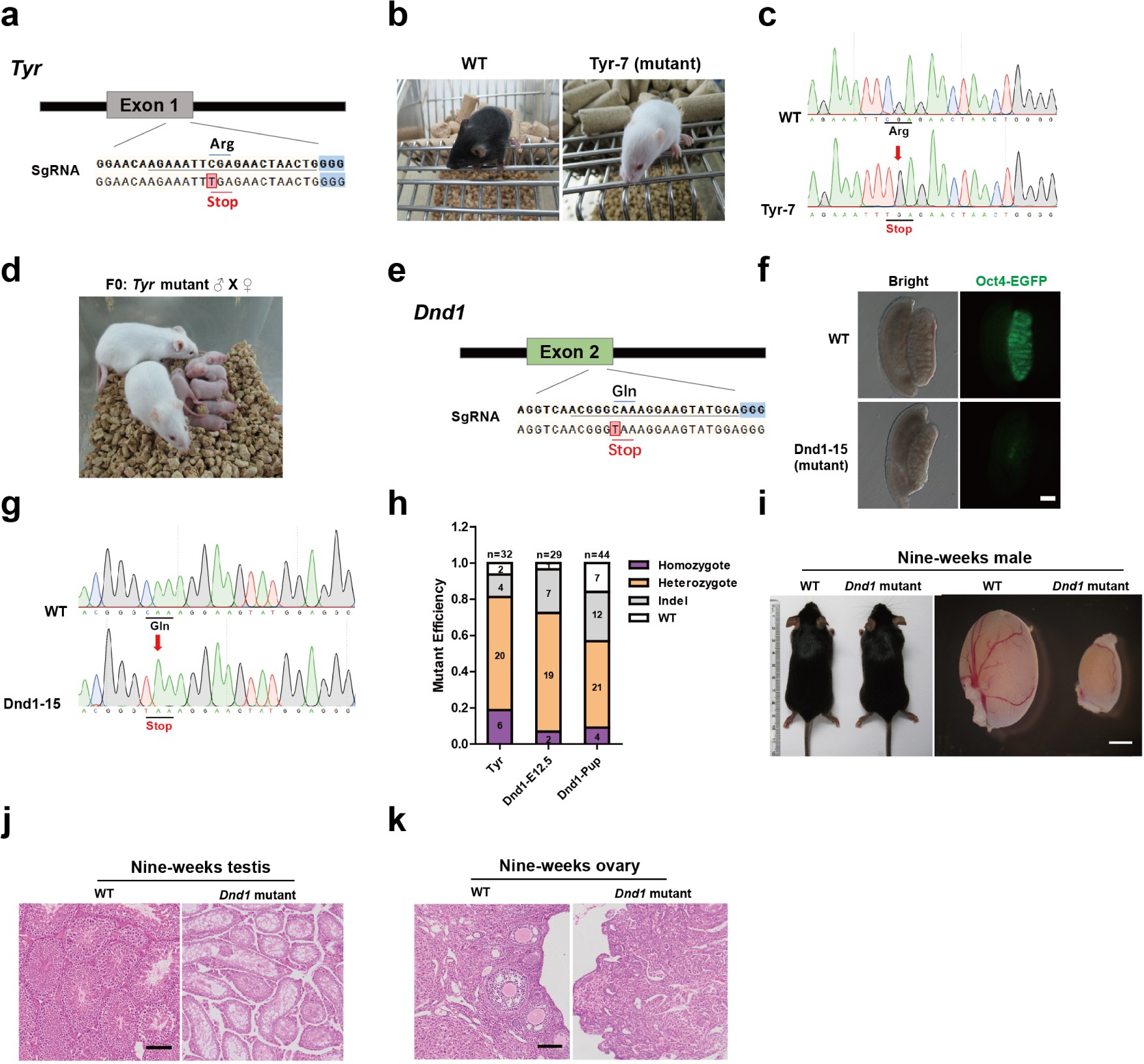 Supplementary Figure 1