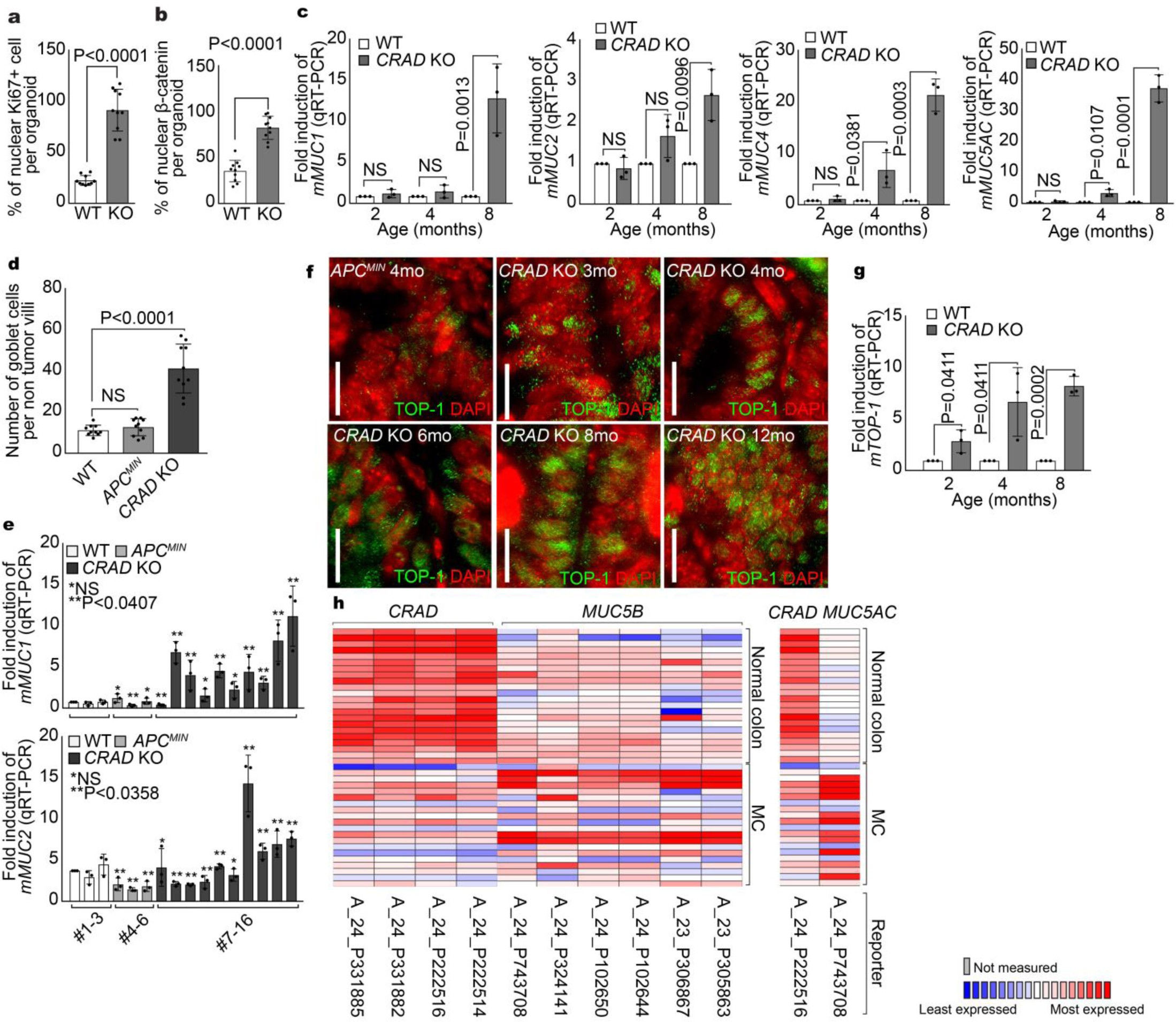 Supplementary Figure 8