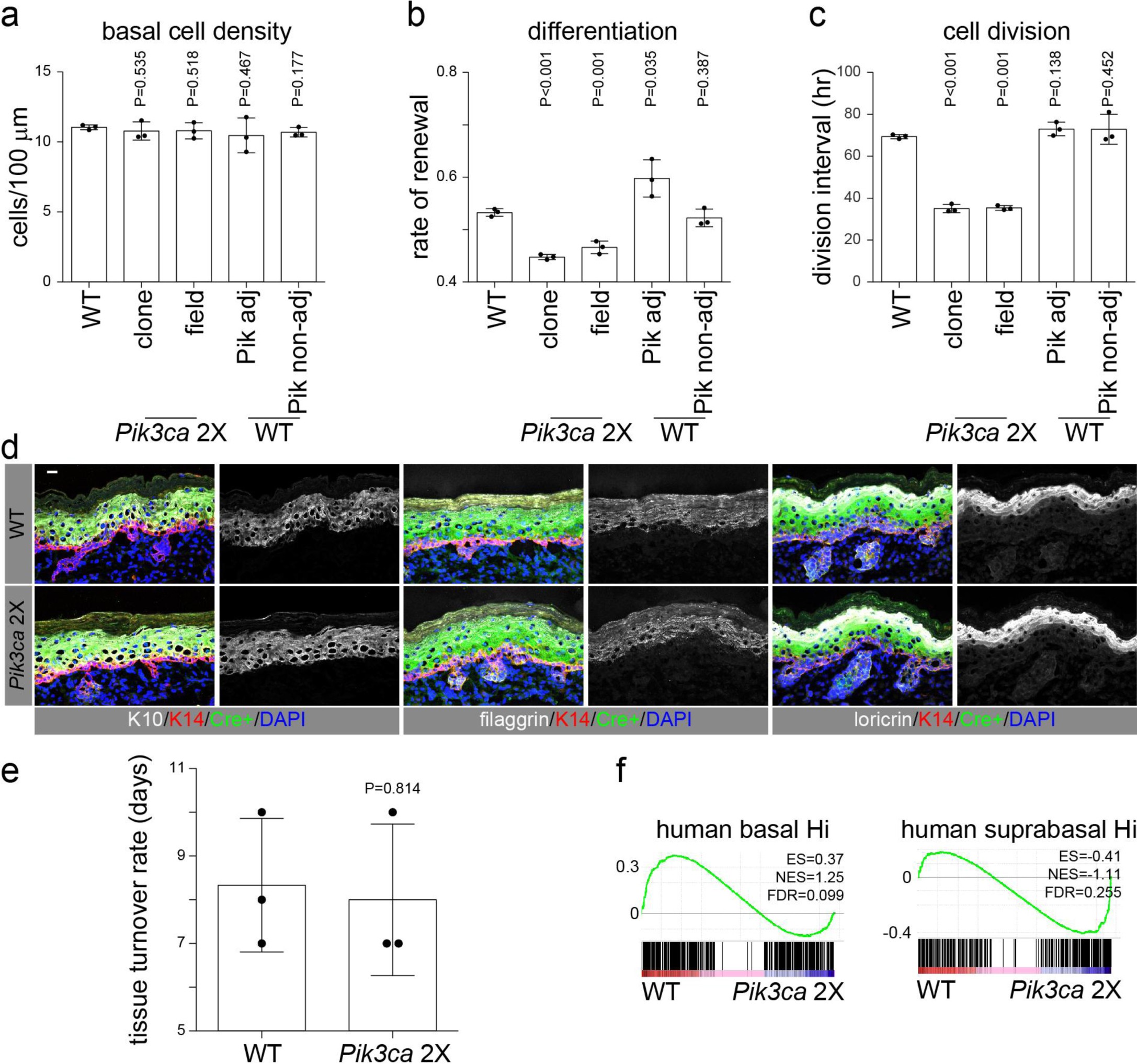 Supplementary Figure 4