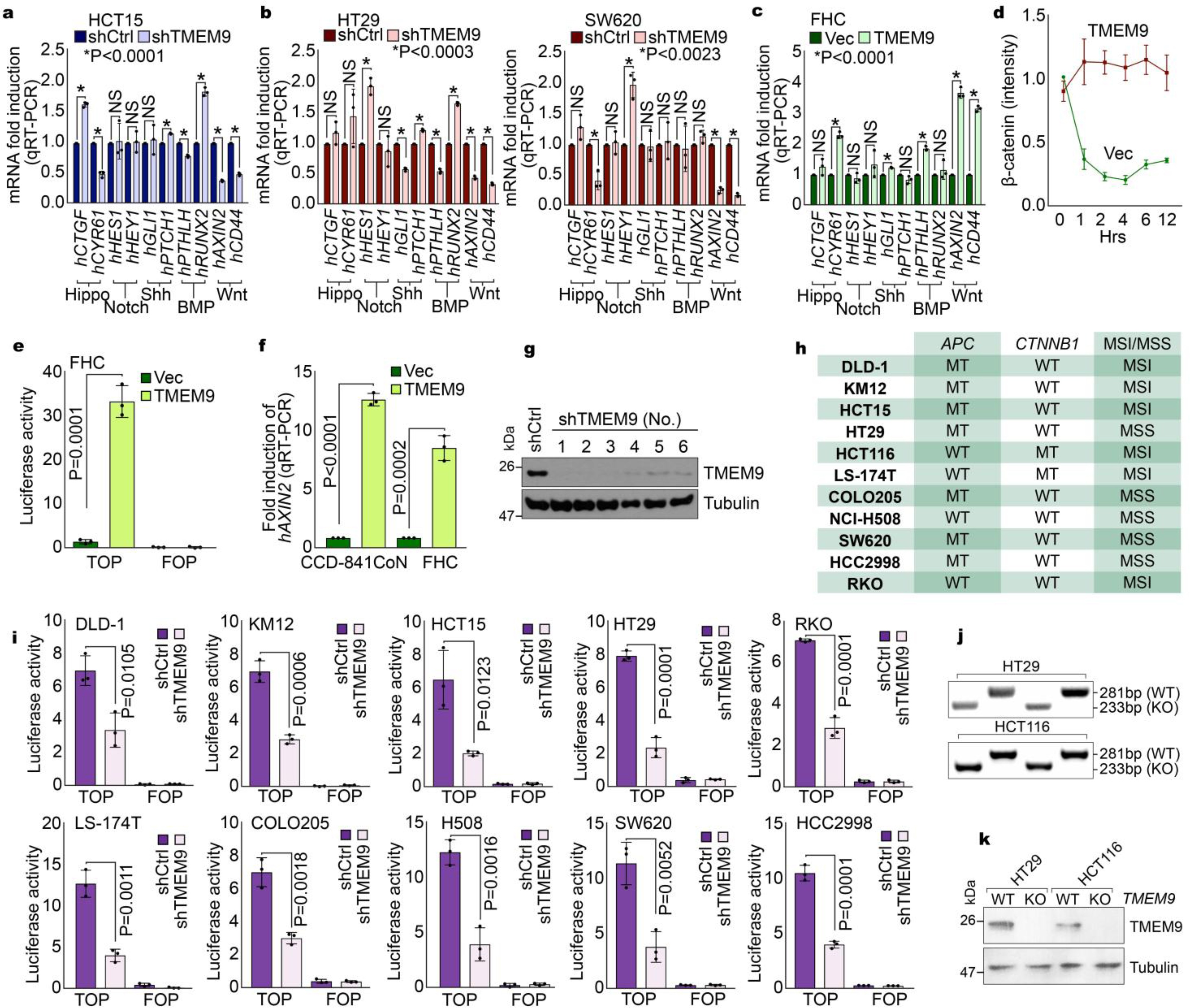 Supplementary Figure 1: Activation of Wnt/β-catenin signalling by TMEM9.
