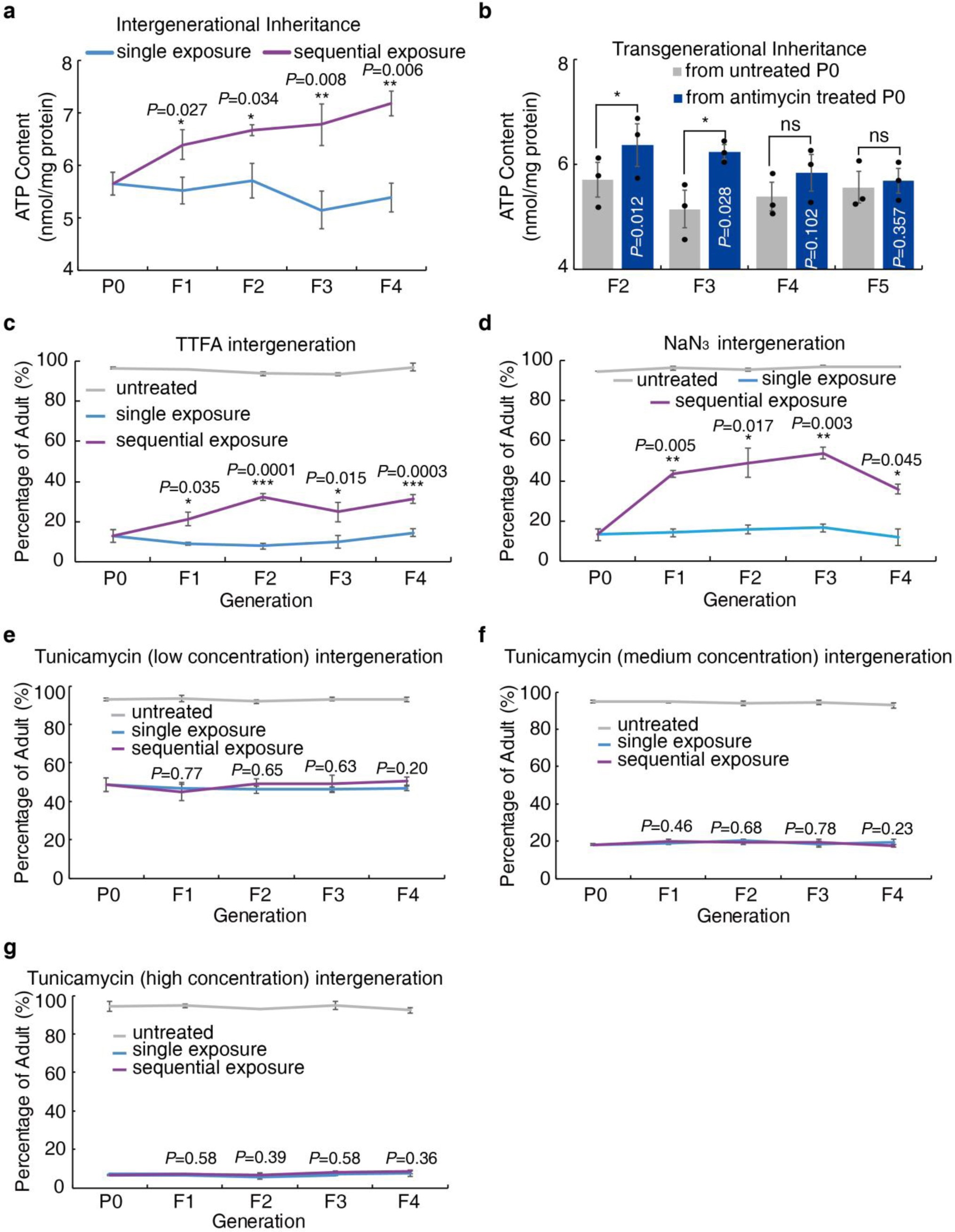 Supplementary Figure 2