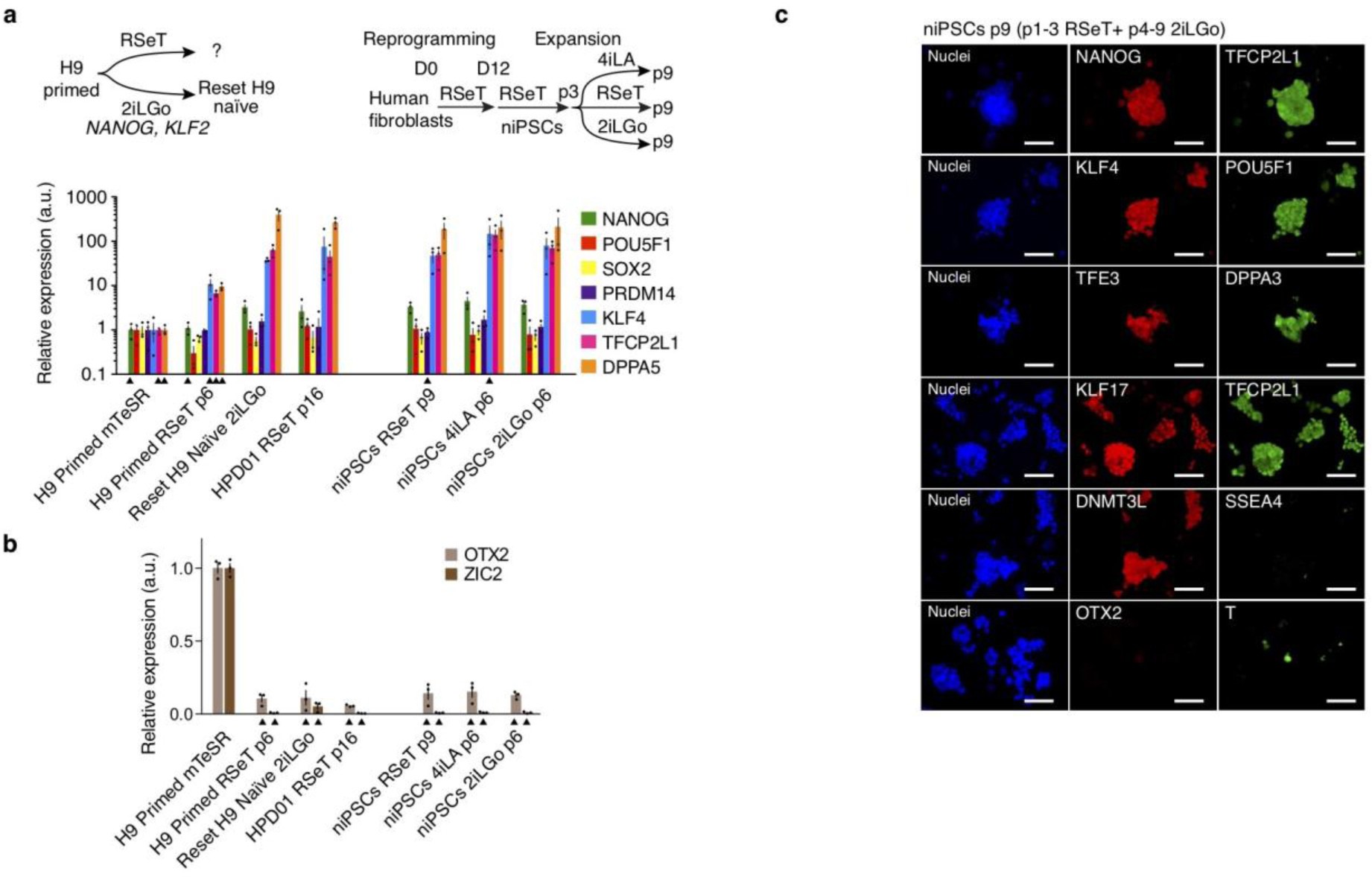 Supplementary Figure 8