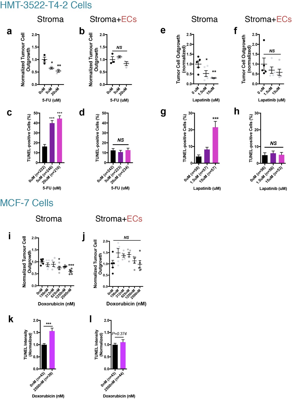 Supplementary Figure 3: Microvascular endothelium protects basal breast tumour cells from other therapies and luminal/ER+ breast tumour cells from doxorubicin.