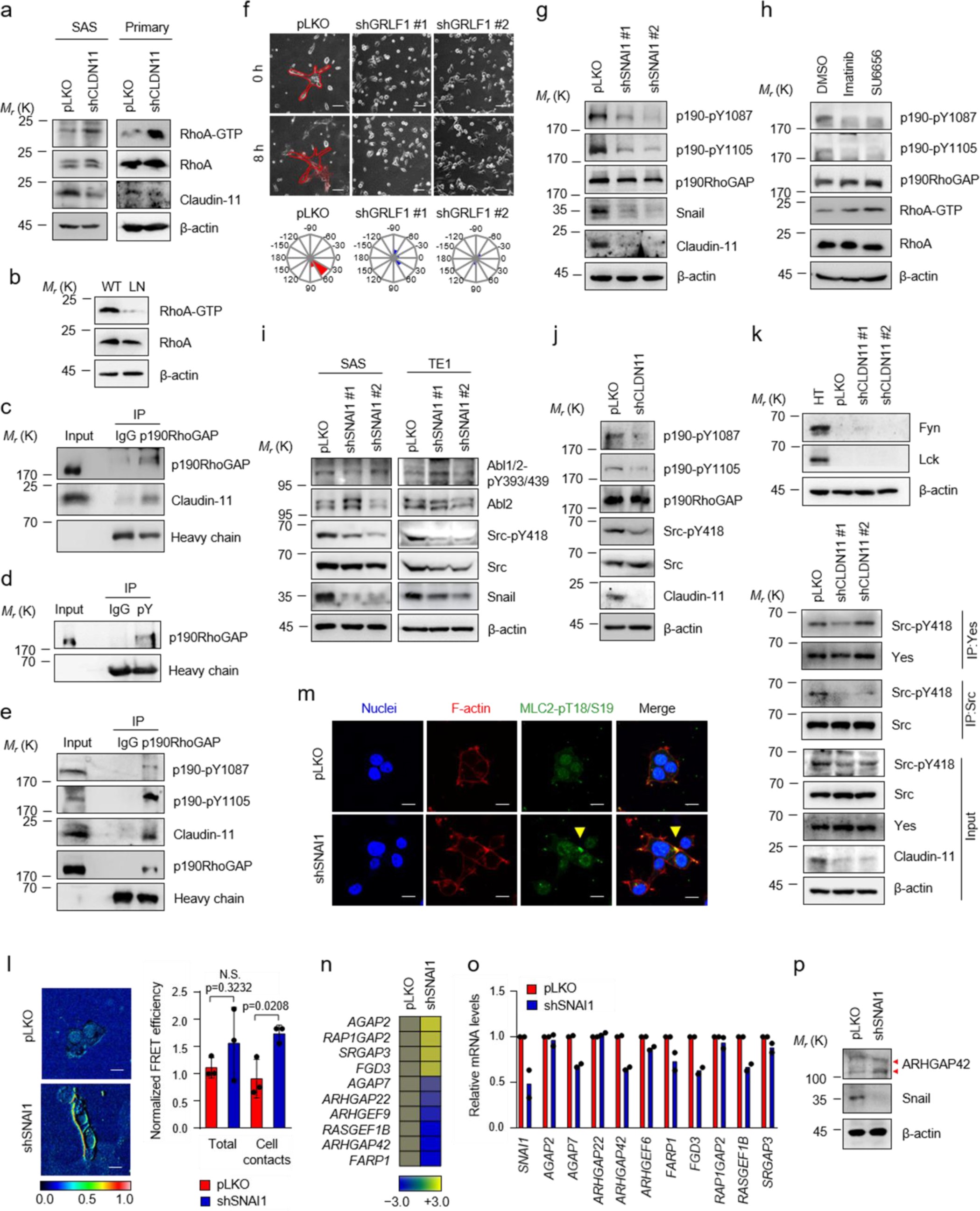 Supplementary Figure 4