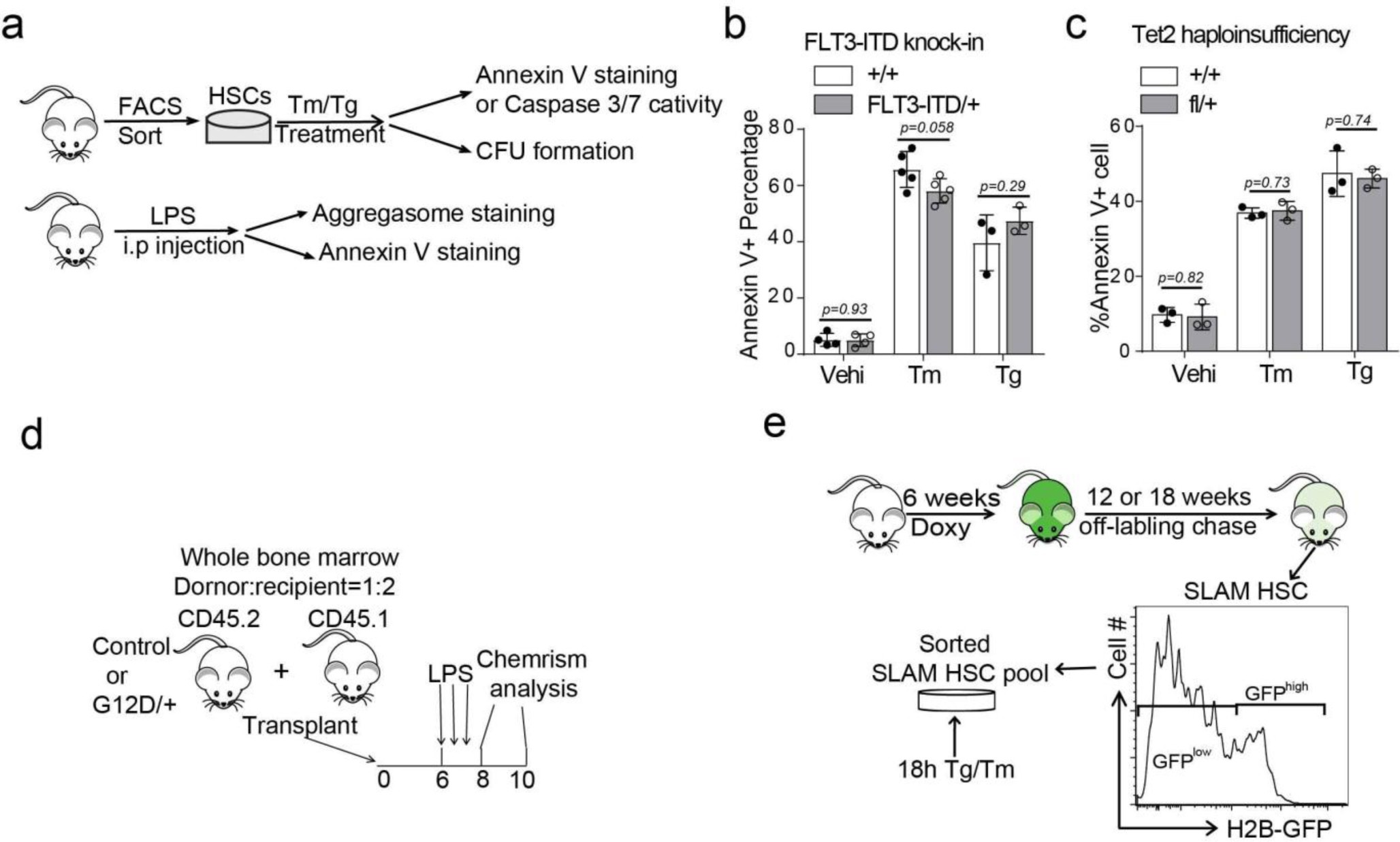 Supplementary Figure 4