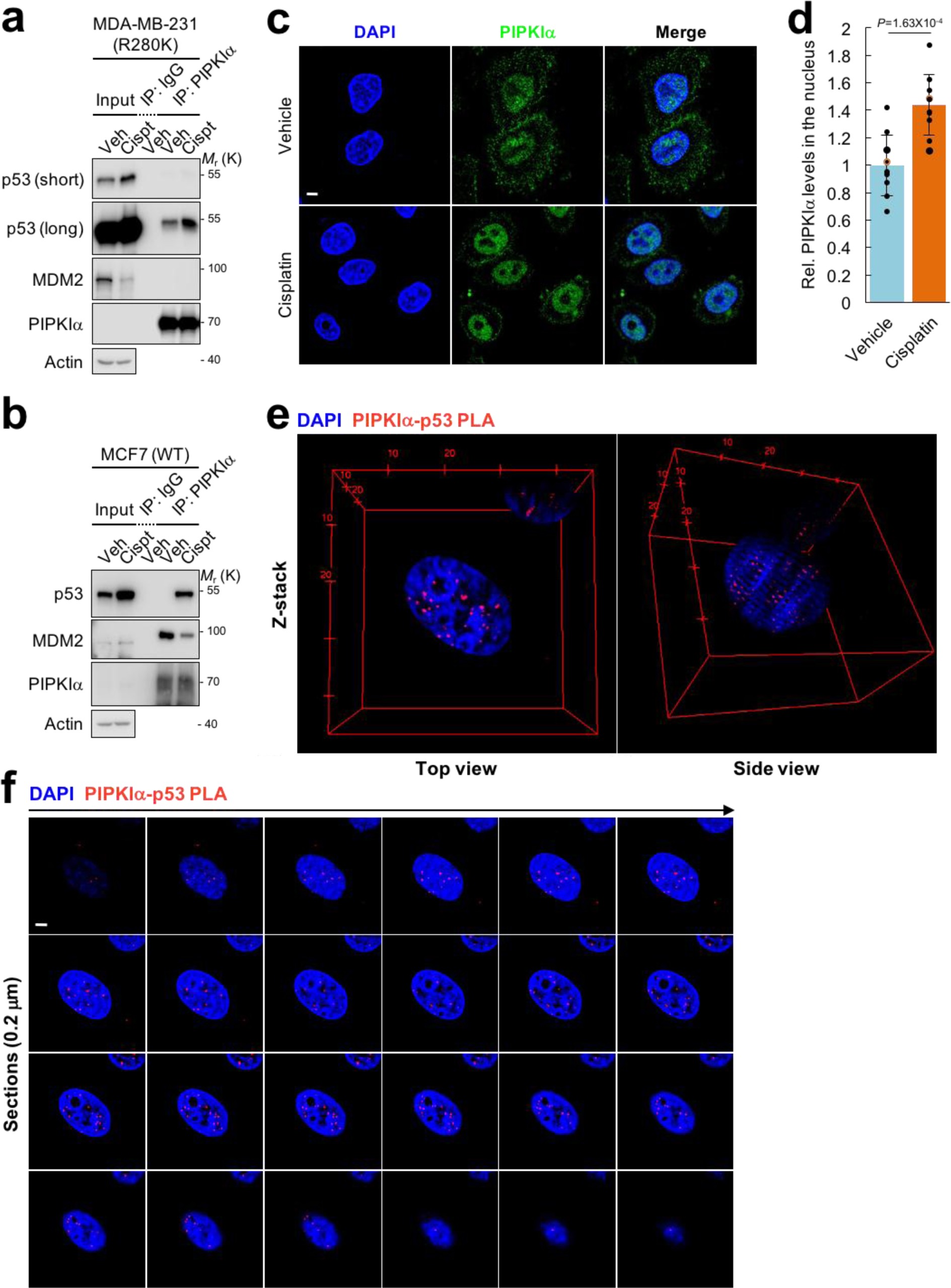Supplementary Figure 2