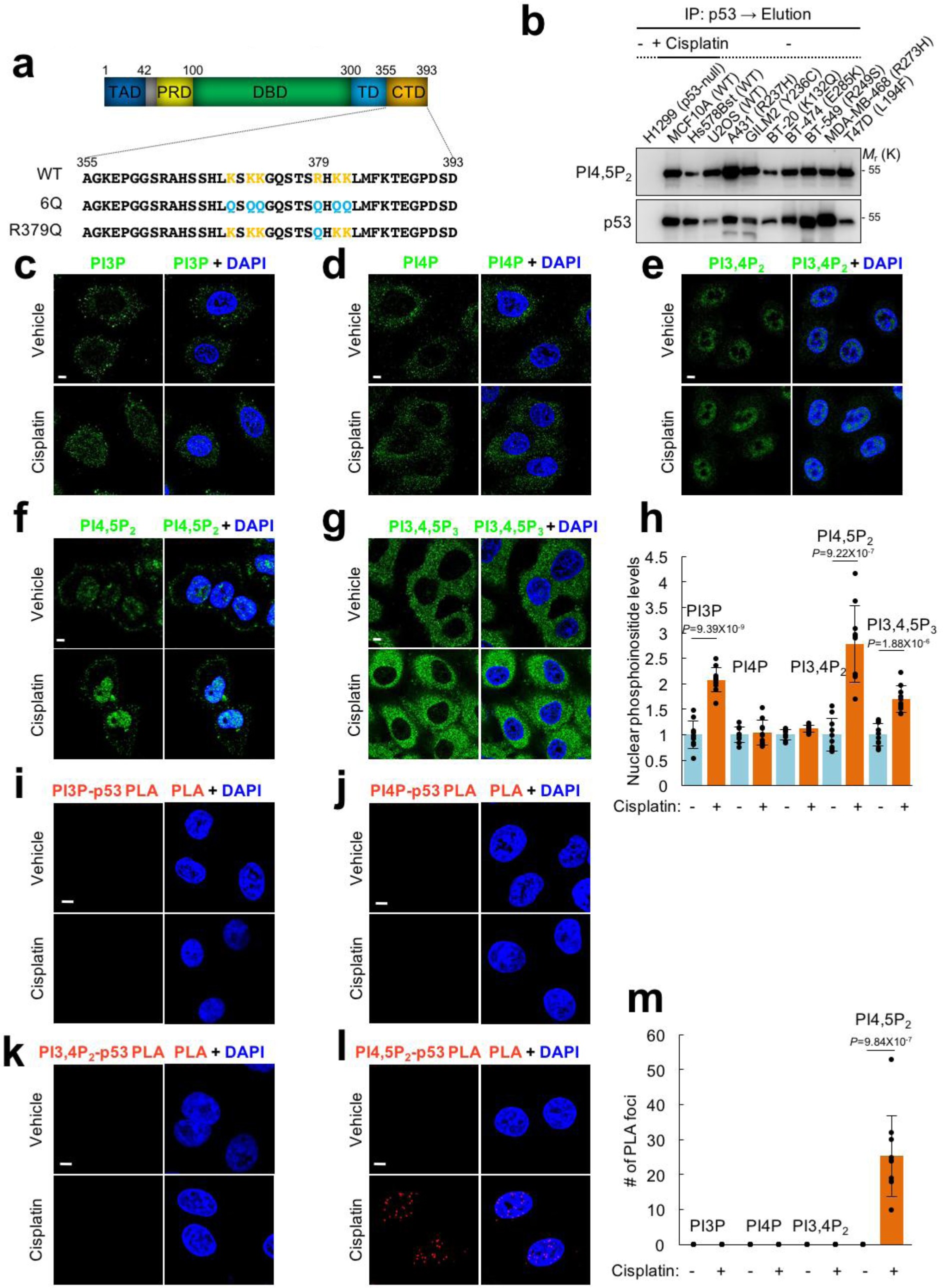 Supplementary Figure 3