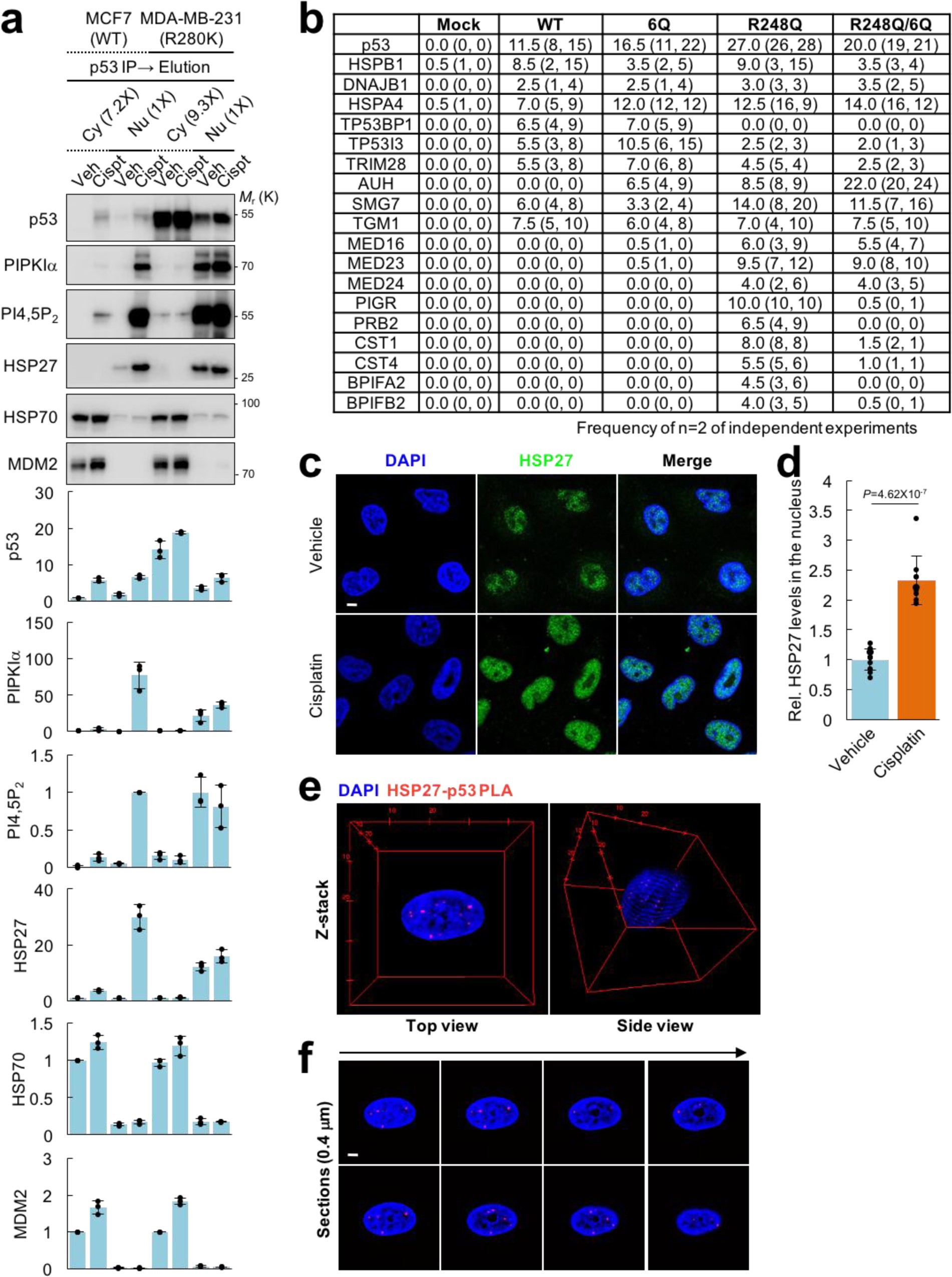 Supplementary Figure 6