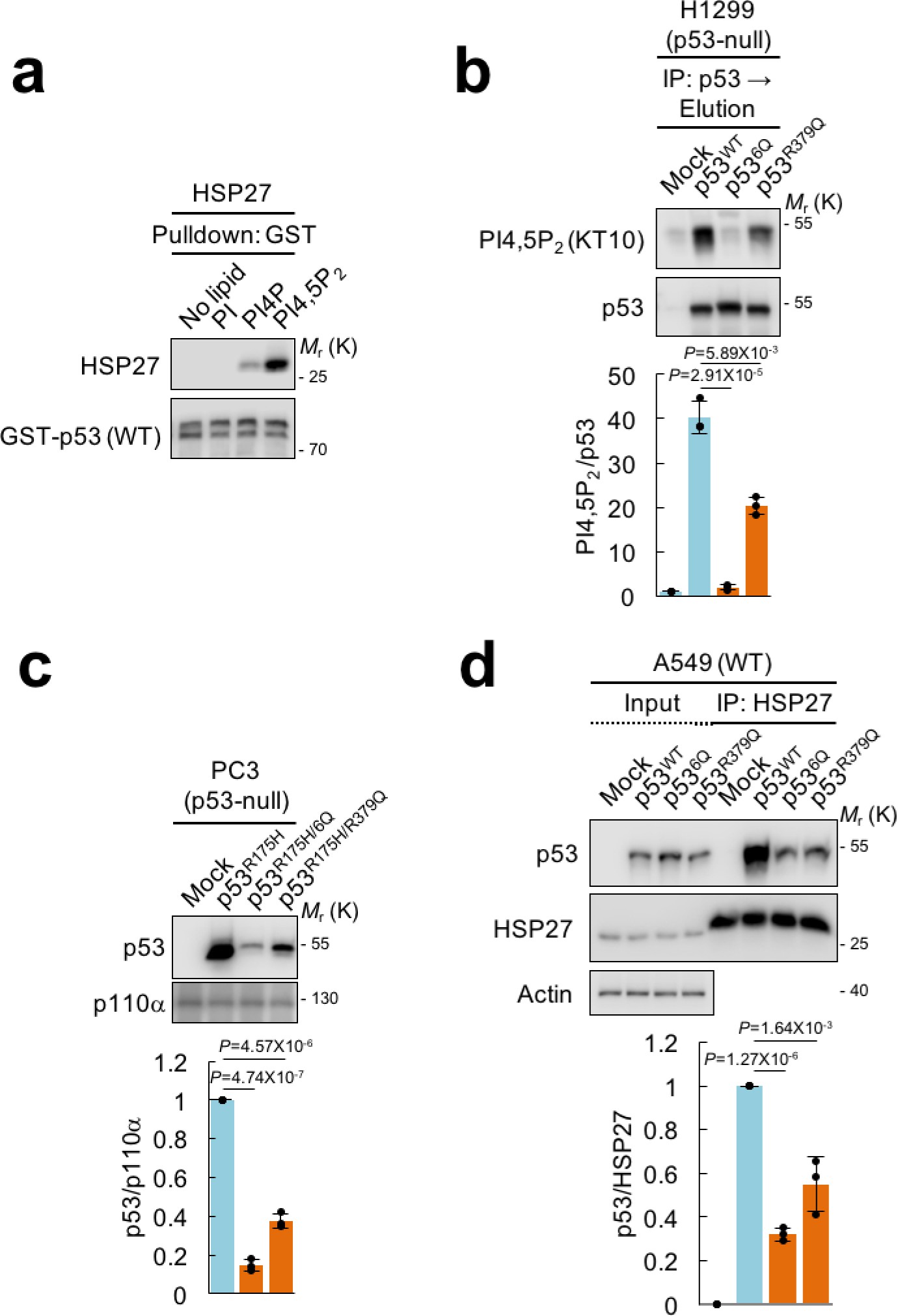 Supplementary Figure 8