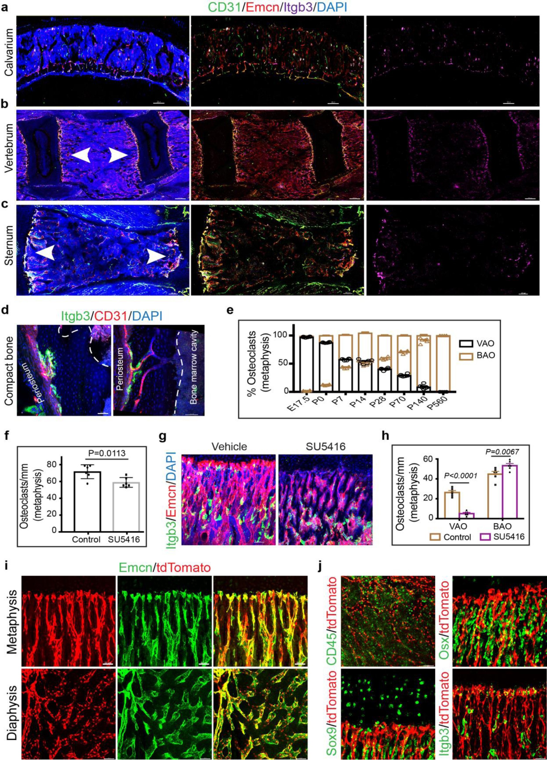 Supplementary Figure 2