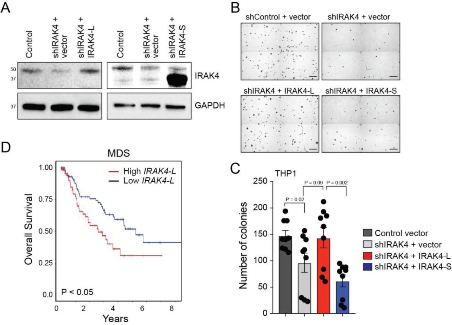 Supplementary Fig. 4