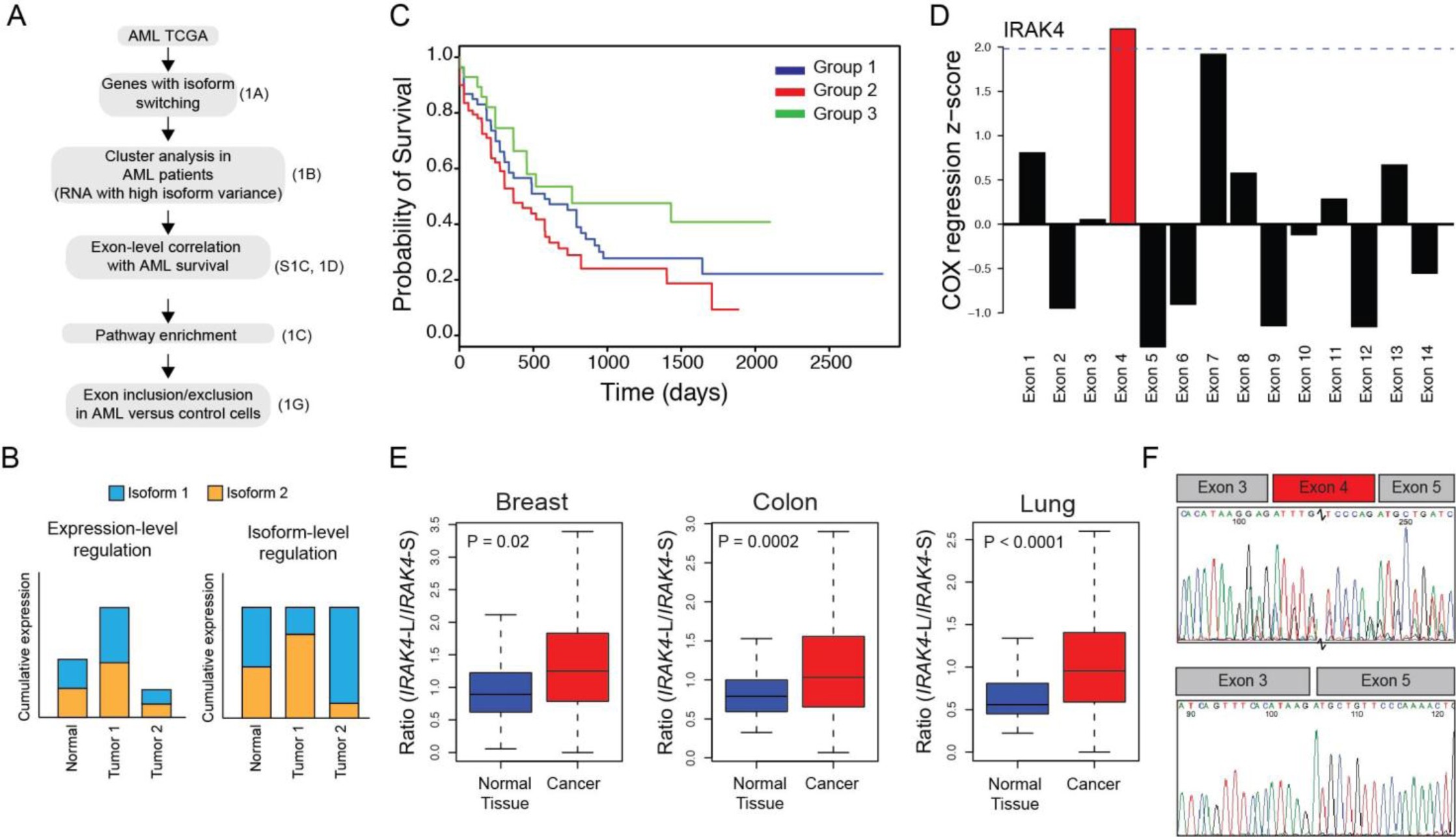 Supplementary Fig. 1