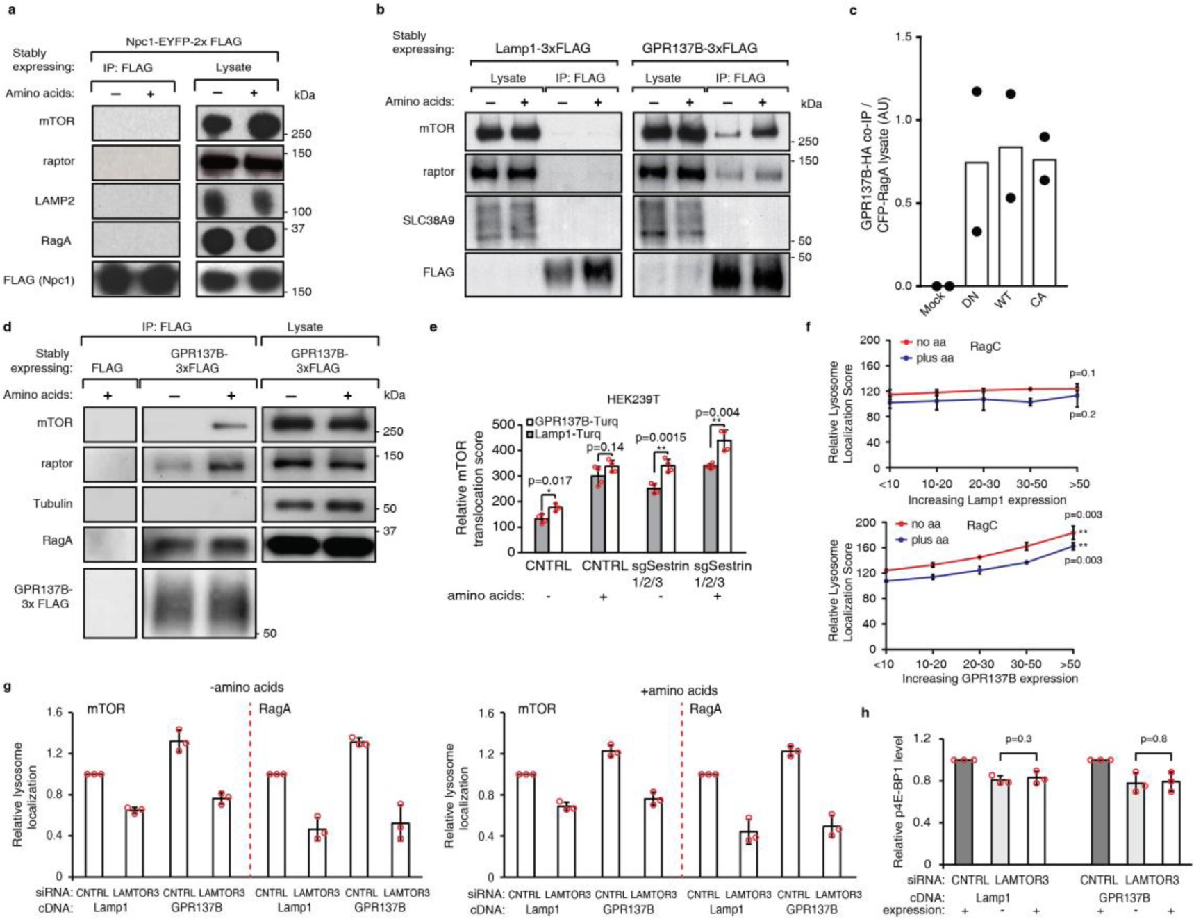 Supplementary Fig. 4