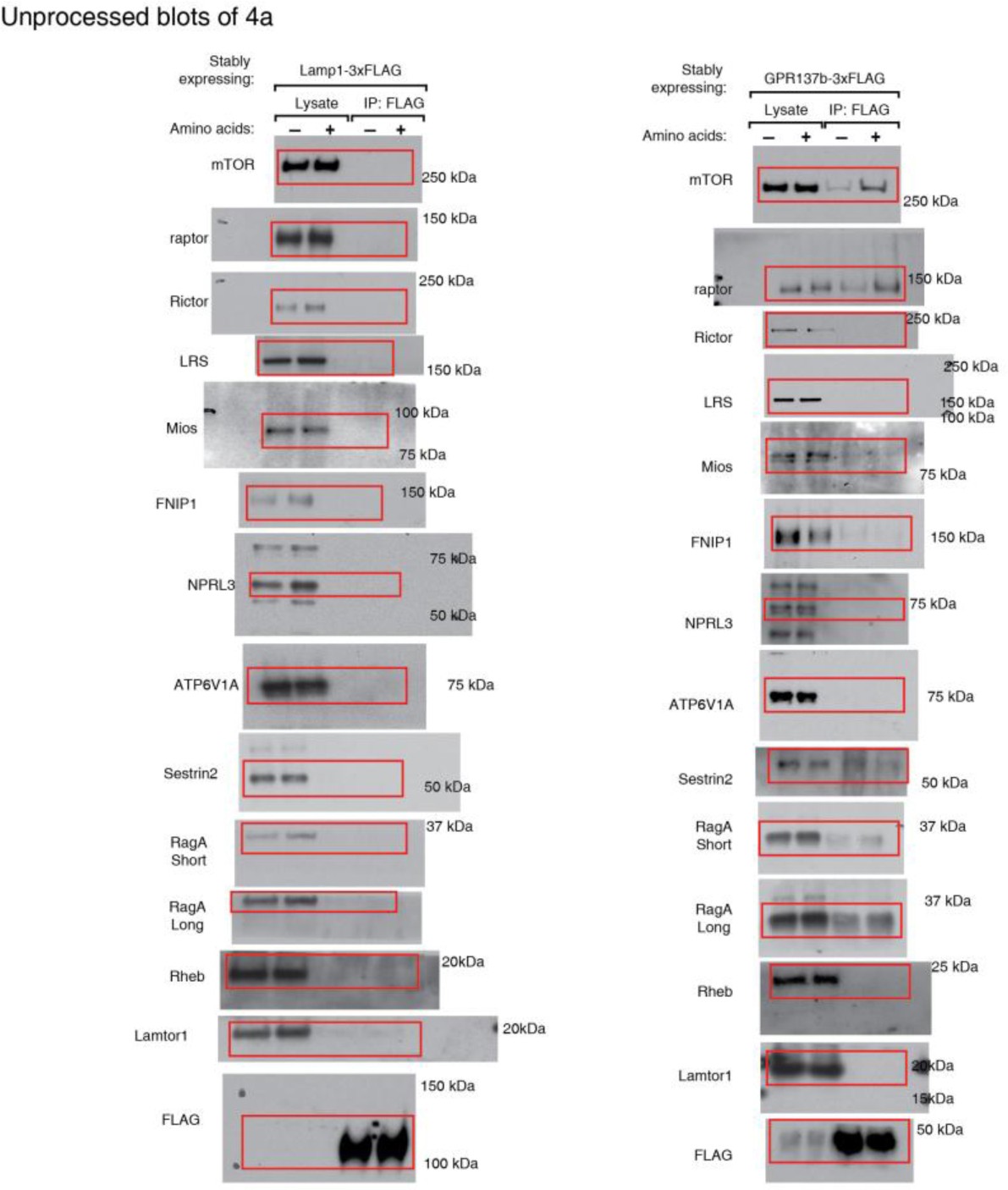 Supplementary Fig. 9