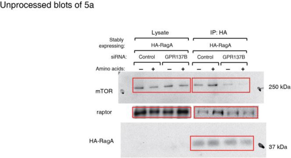 Supplementary Fig. 9