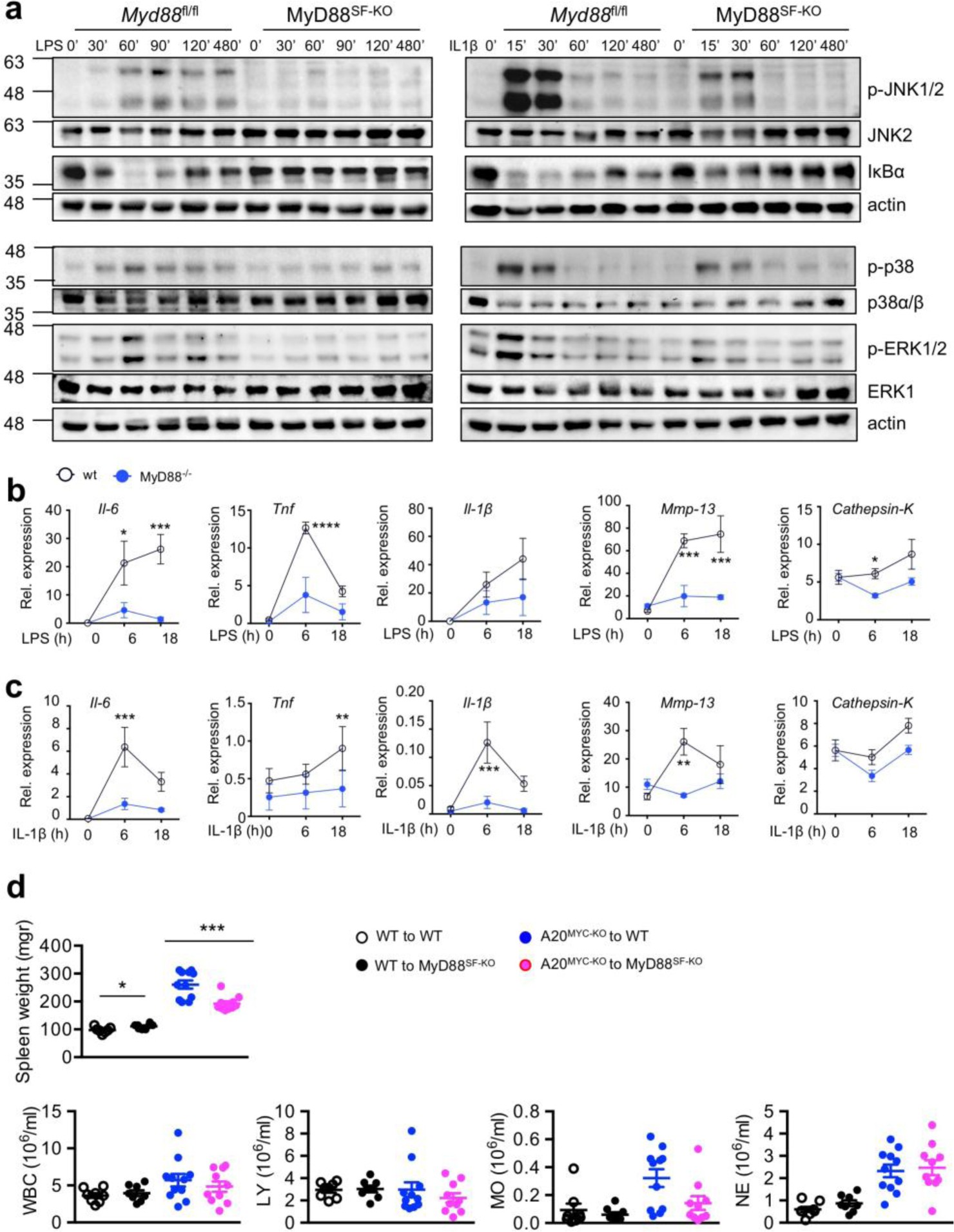 Supplementary Figure 2