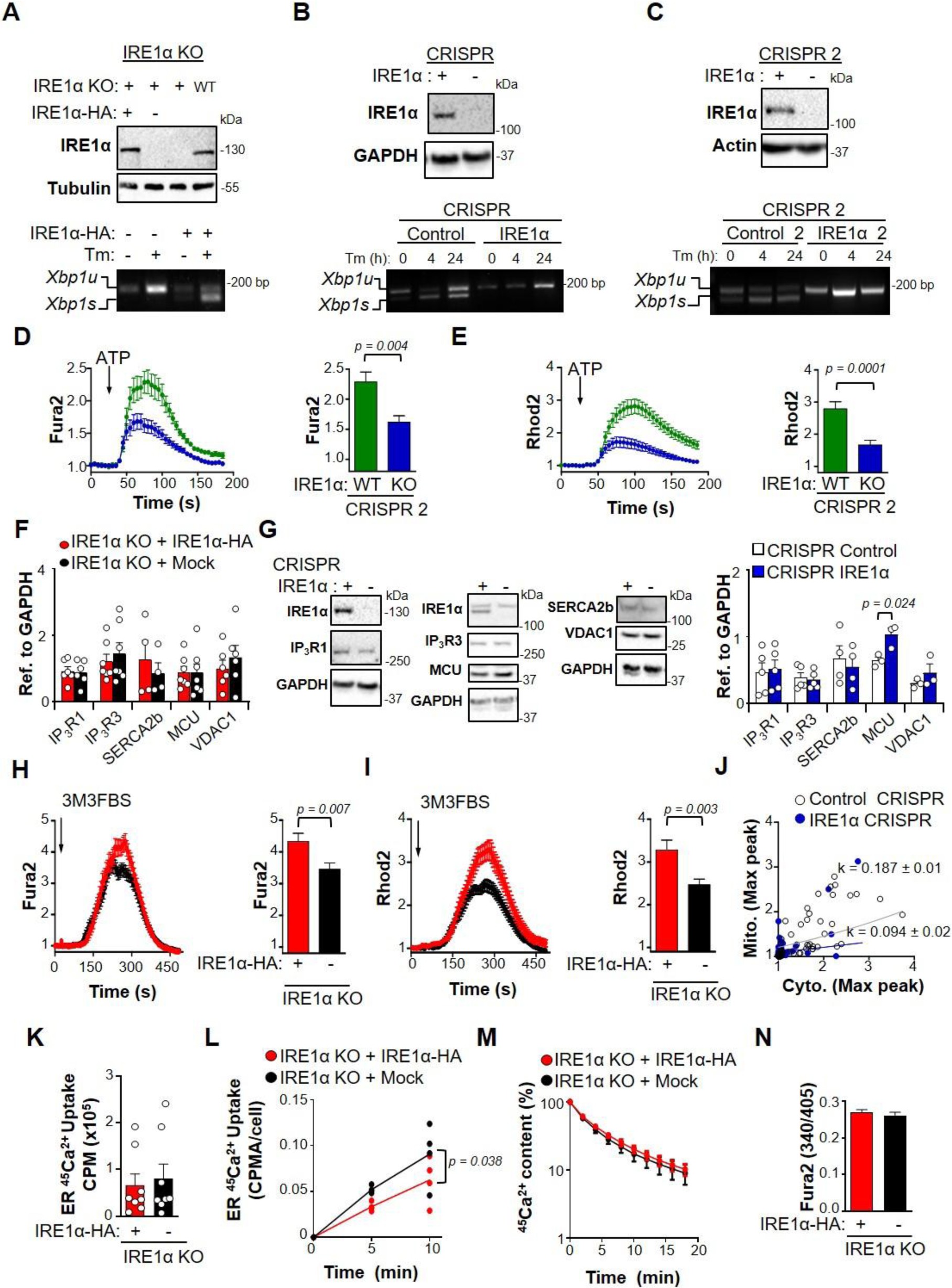 Supplementary Figure 1