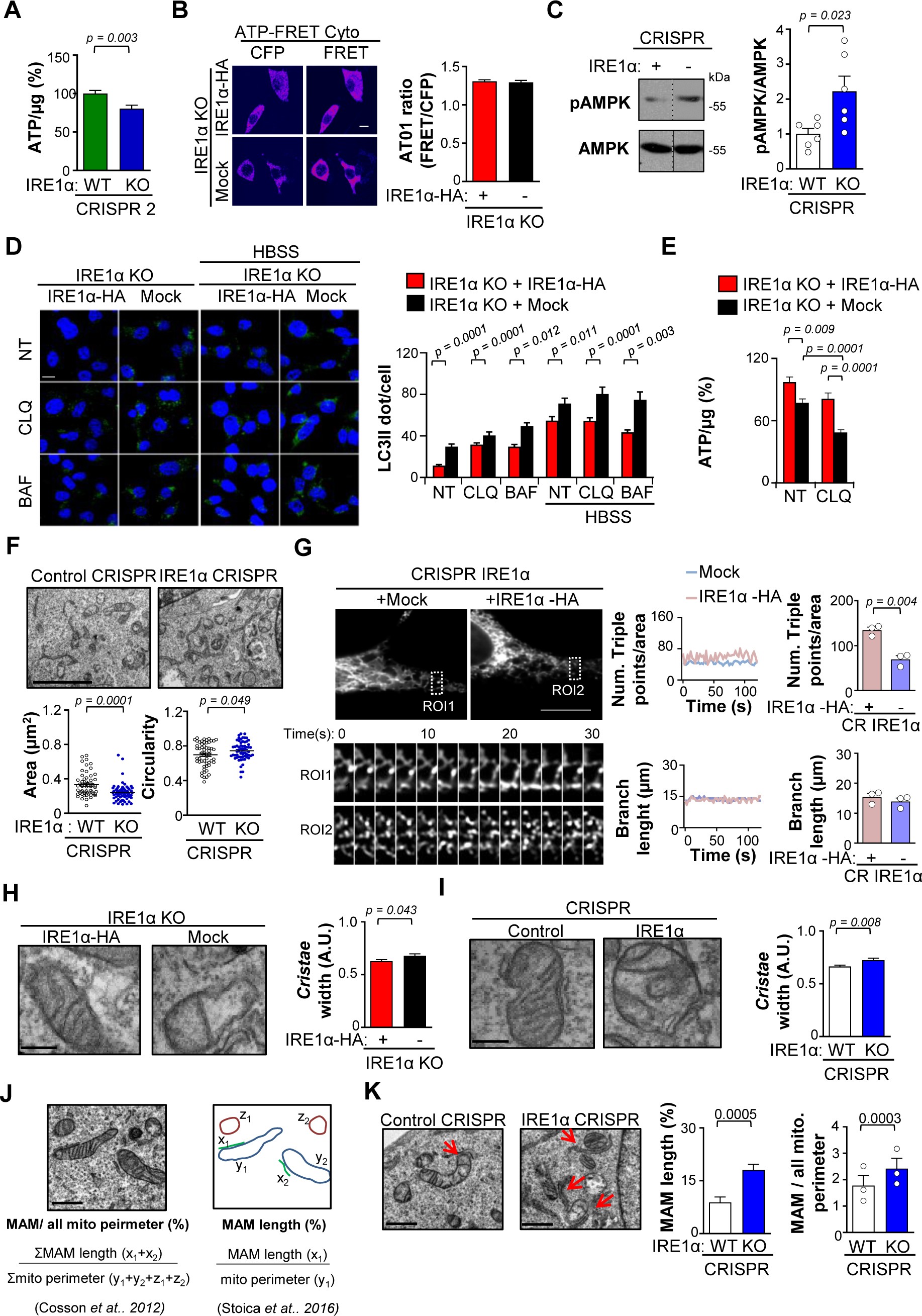 Supplementary Figure 2