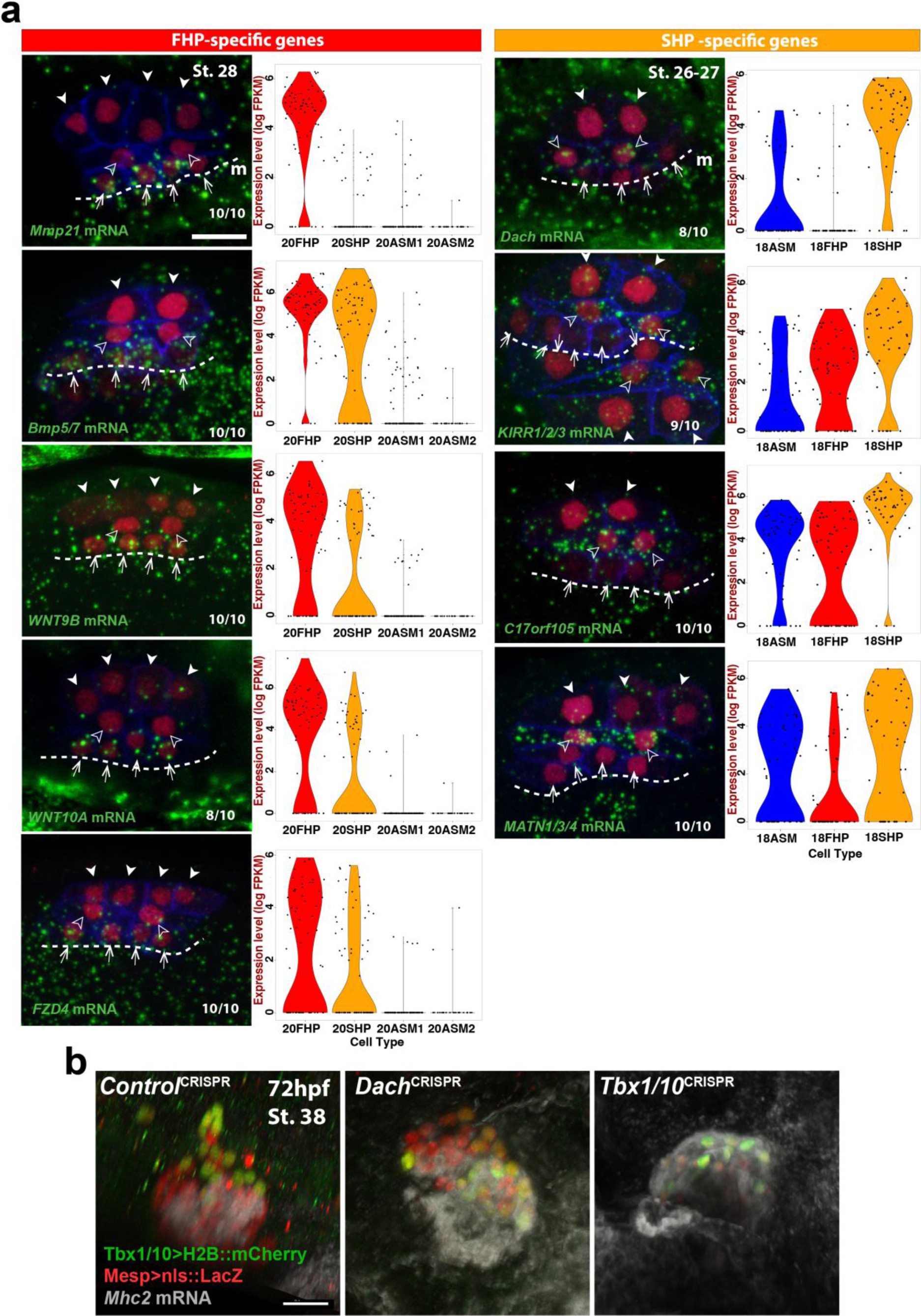 Supplementary Figure 3