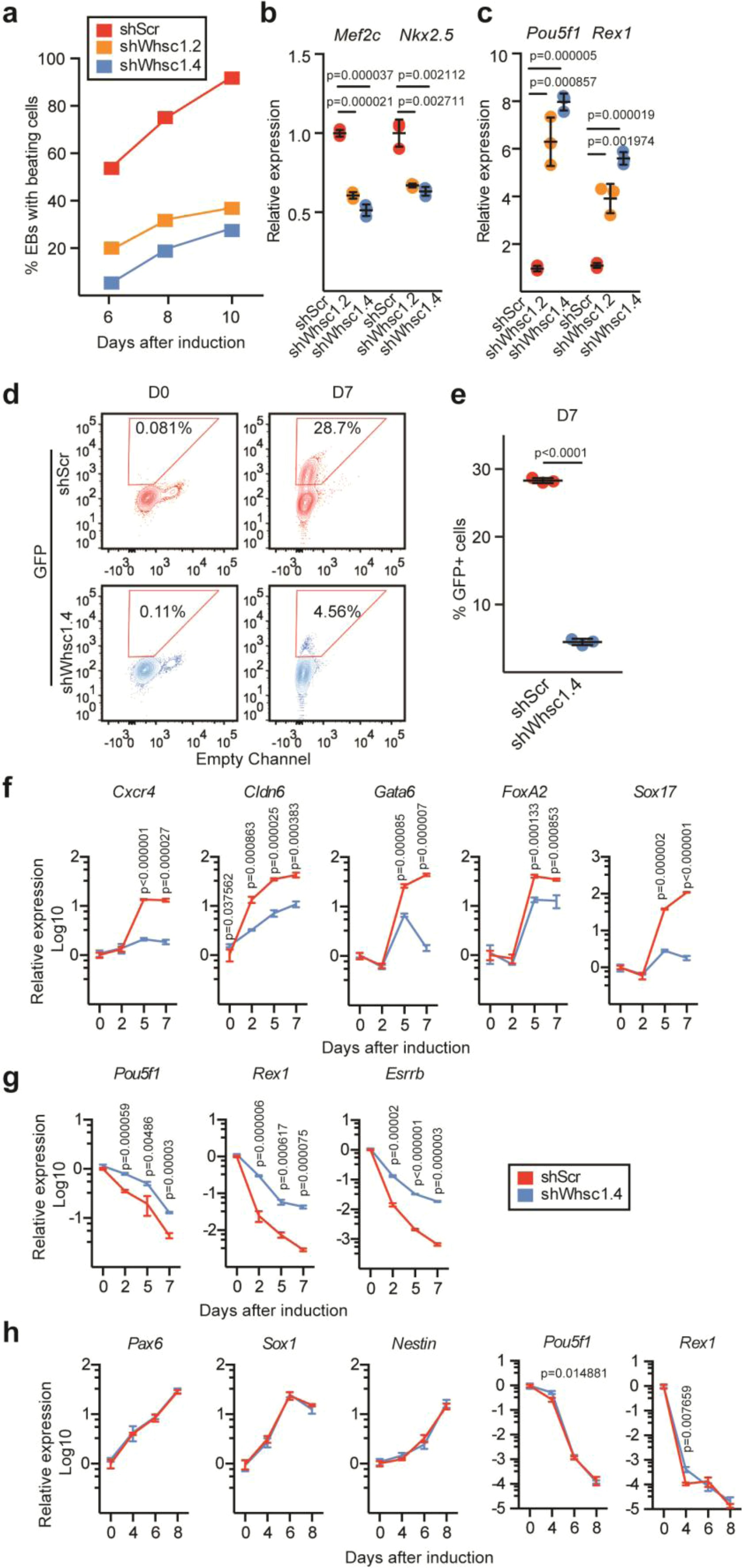 Supplementary Figure 3: Whsc1 is required for efficient generation of cardiac progenitors and definitive endoderm but not of neural progenitor cells.