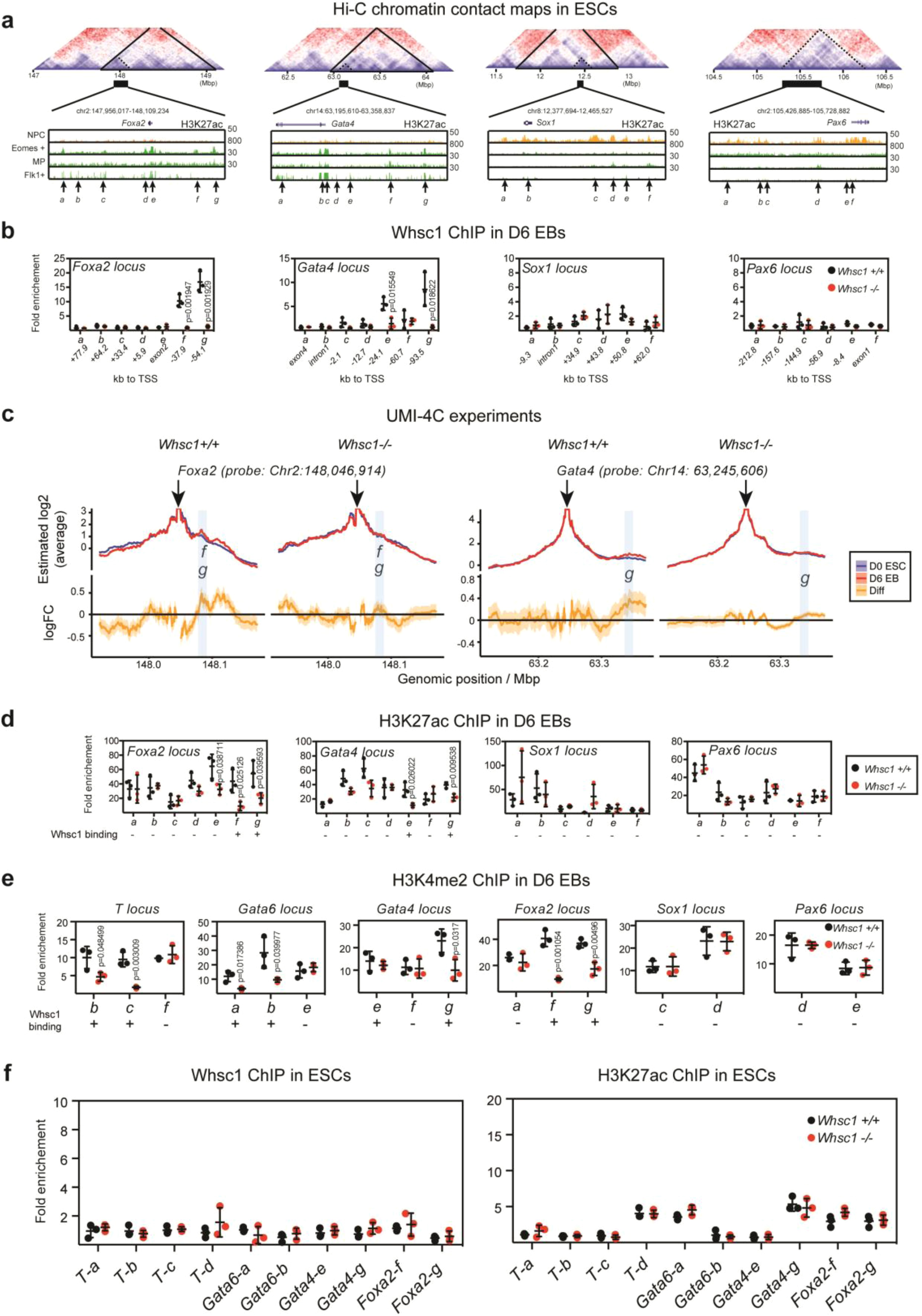 Supplementary Figure 5: Whsc1 binds specifically to the enhancers of mesendoderm TFs.