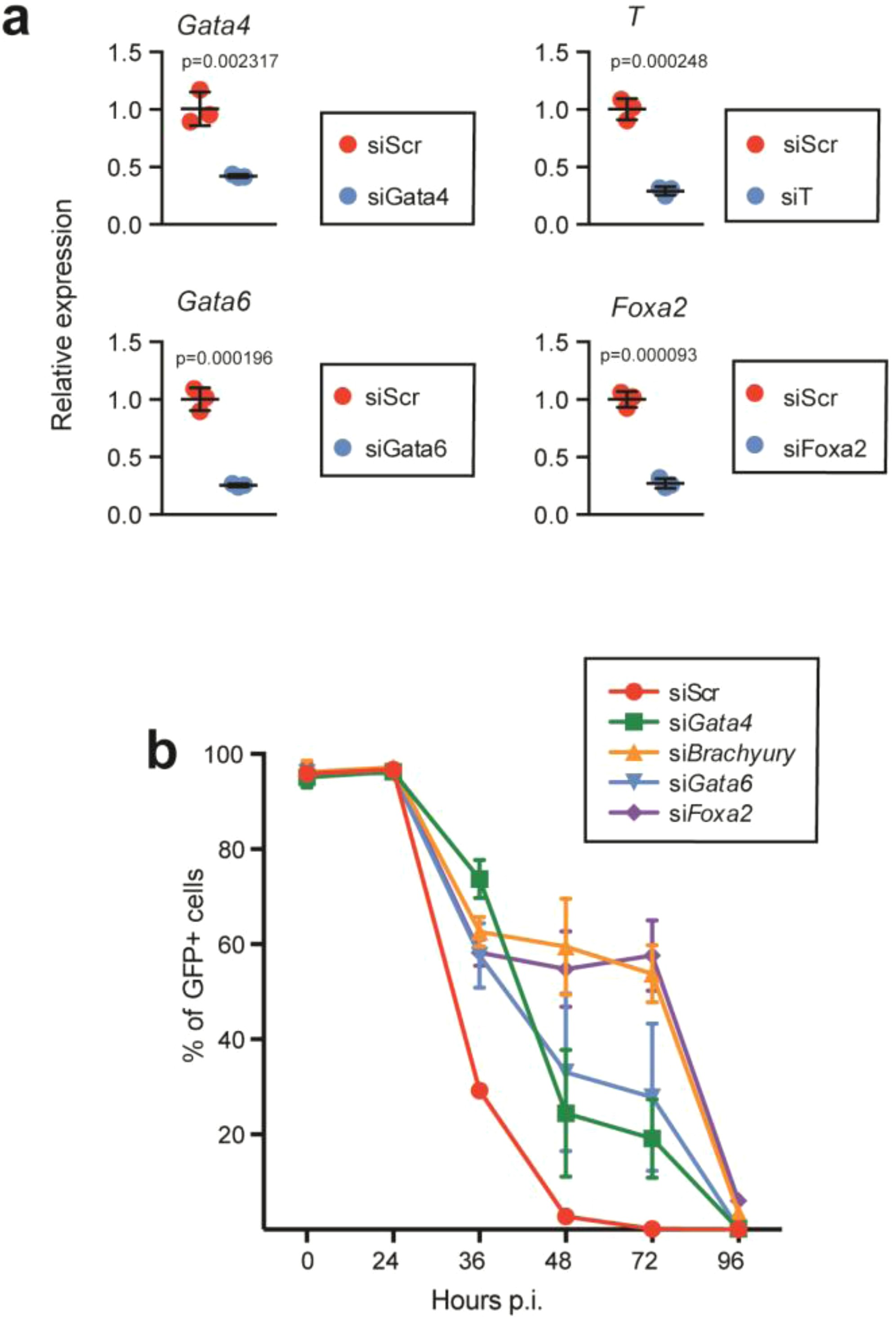 Supplementary Figure 6: Mesendoderm TFs are required for efficient exit from pluripotency.