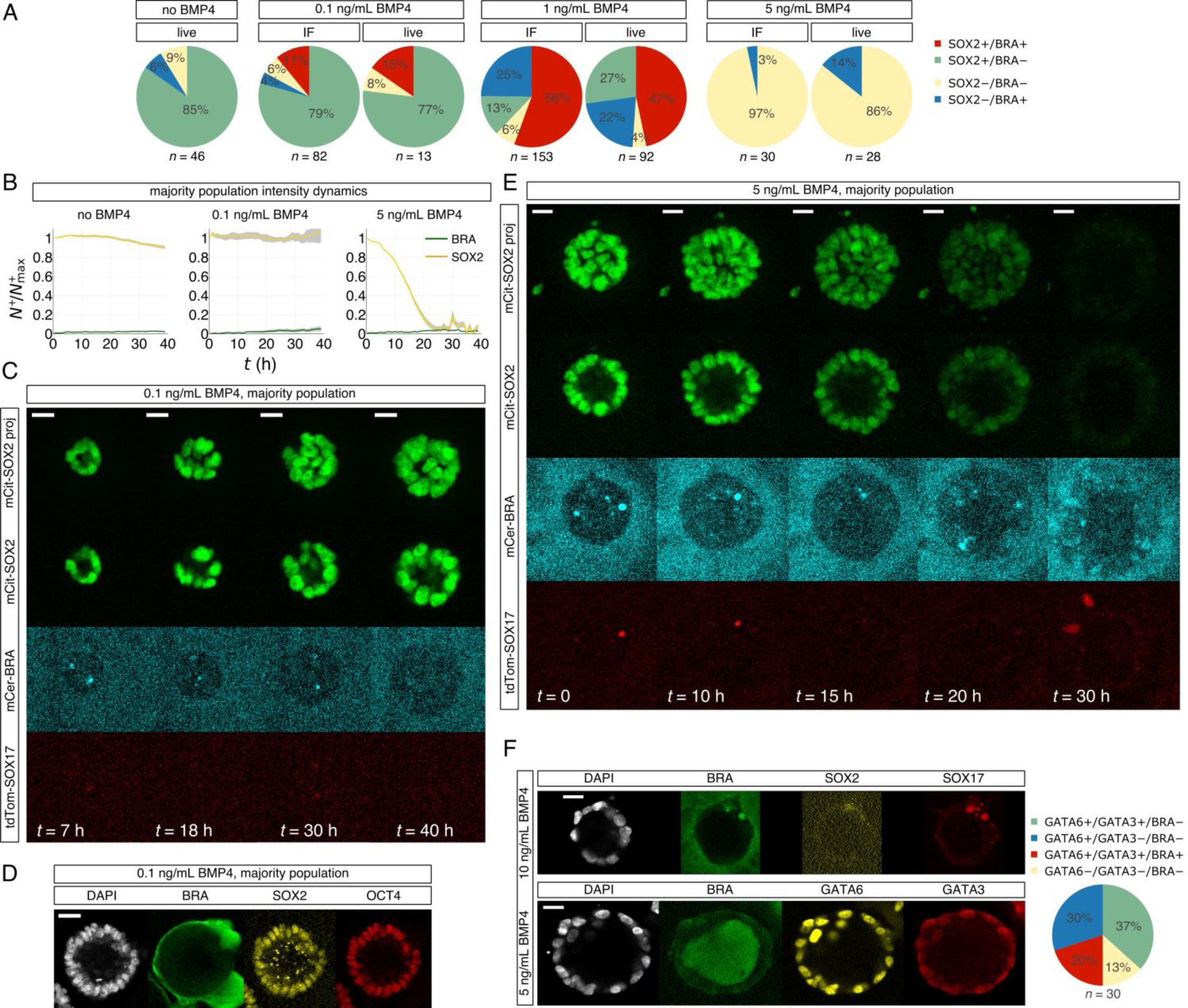 Supplementary Figure 2