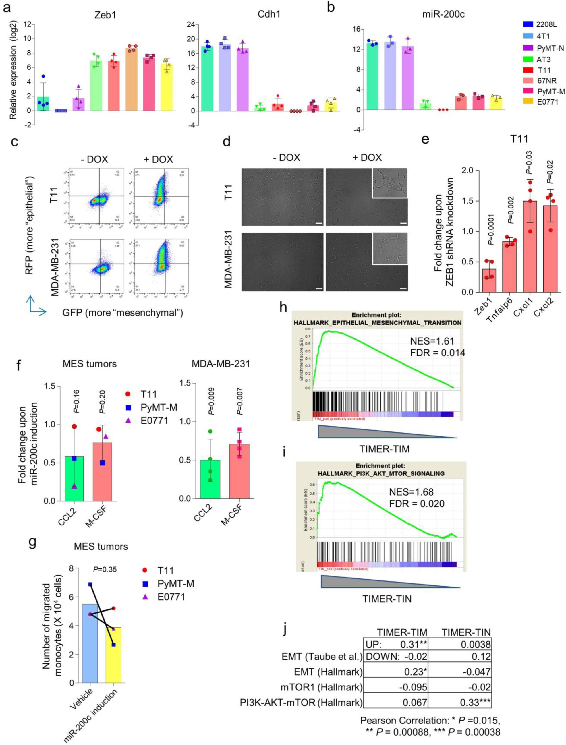 Supplementary Figure 4