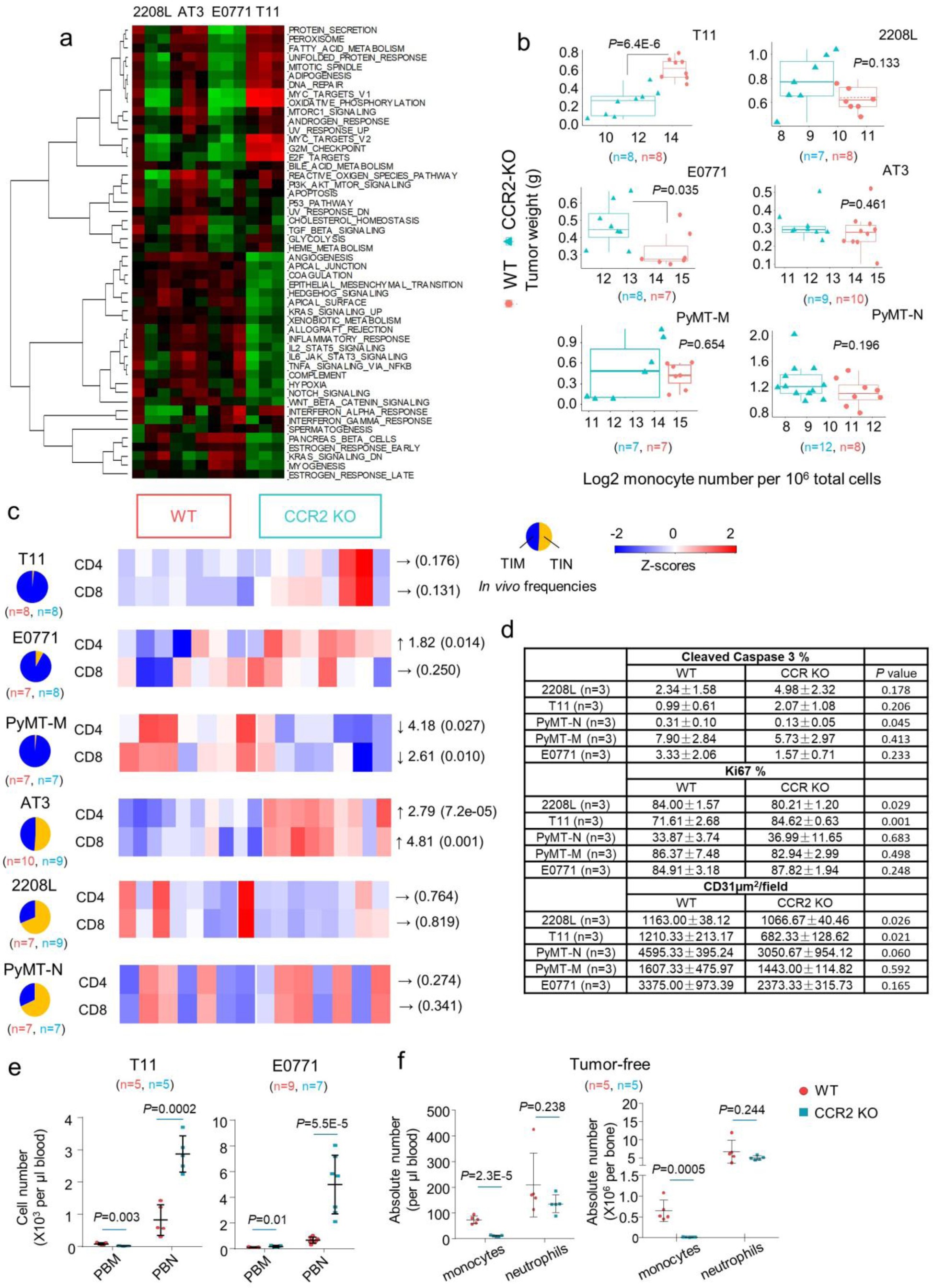 Supplementary Figure 5