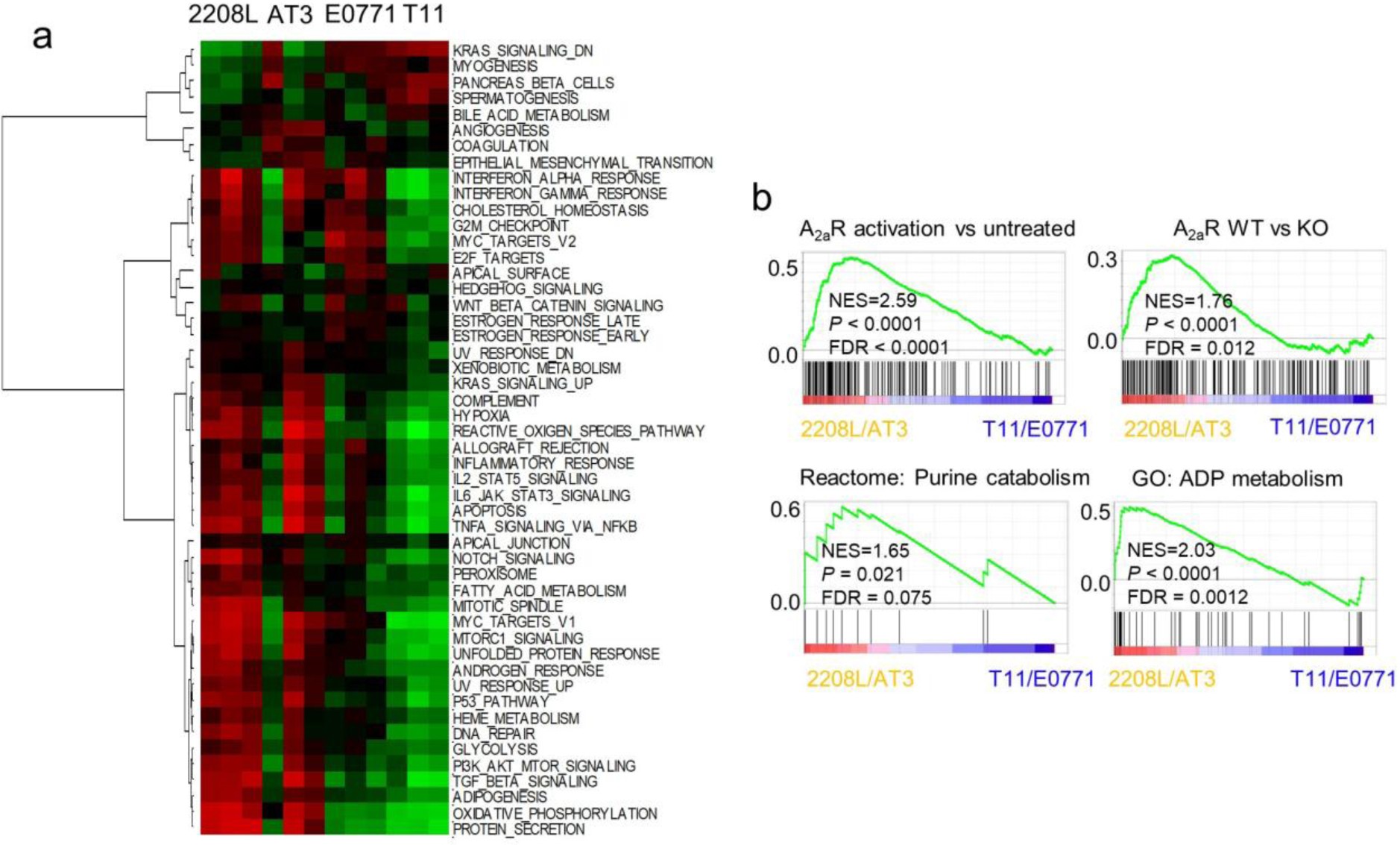 Supplementary Figure 6