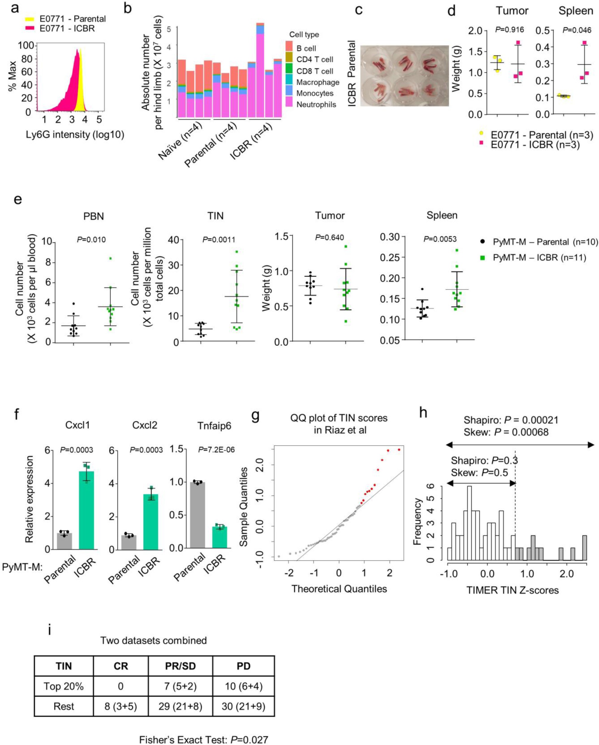 Supplementary Figure 8
