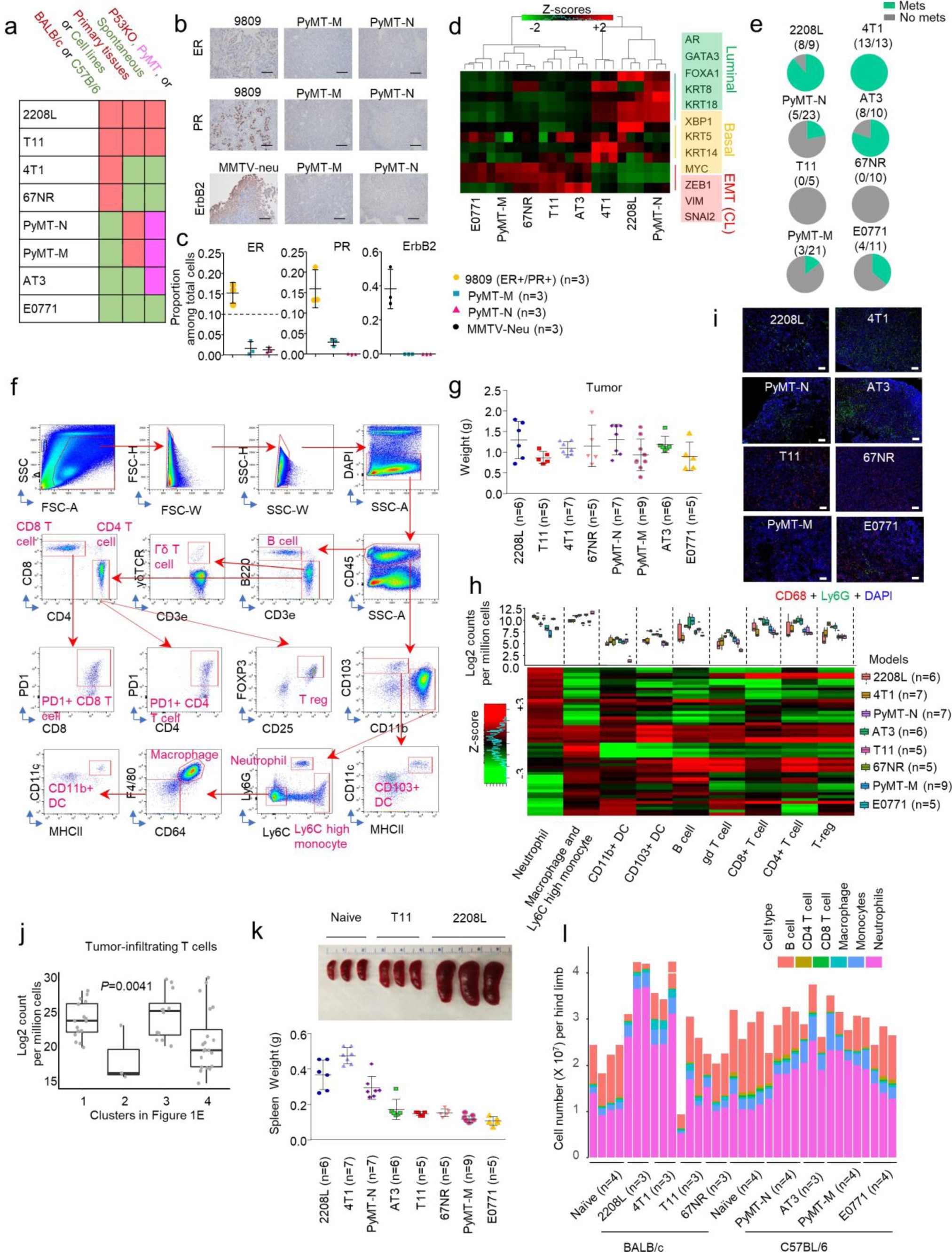Supplementary Figure 1