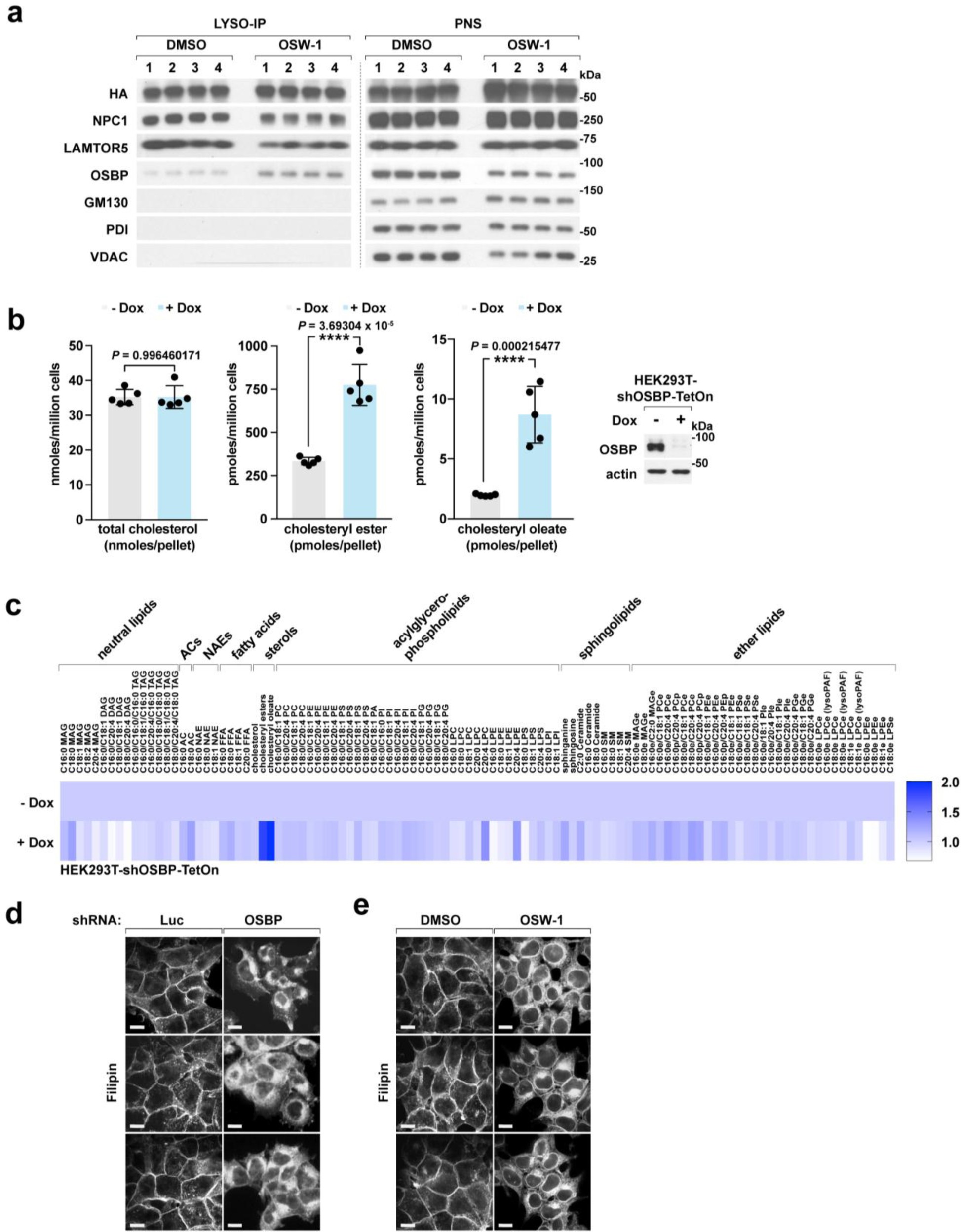 Supplementary Figure 4