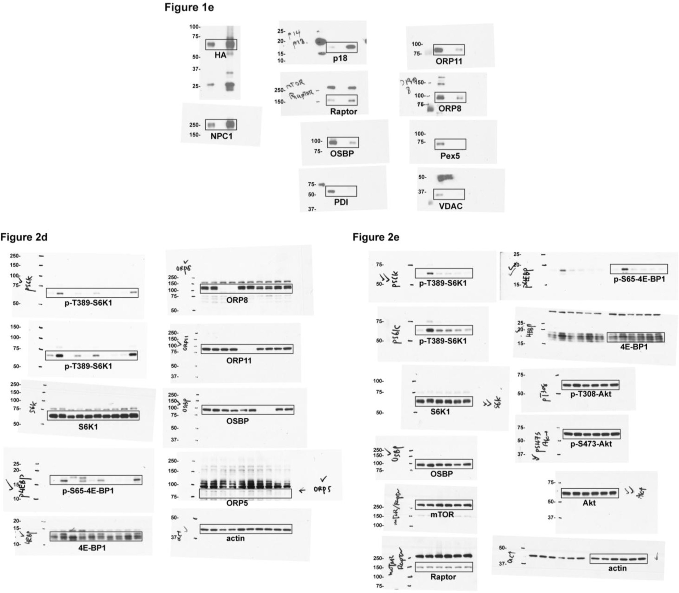 Supplementary Figure 9