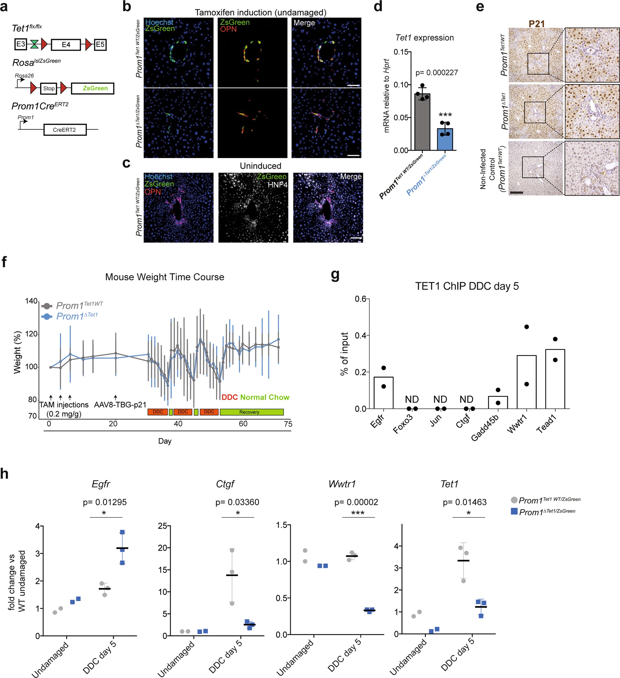 Extended Data Fig. 9