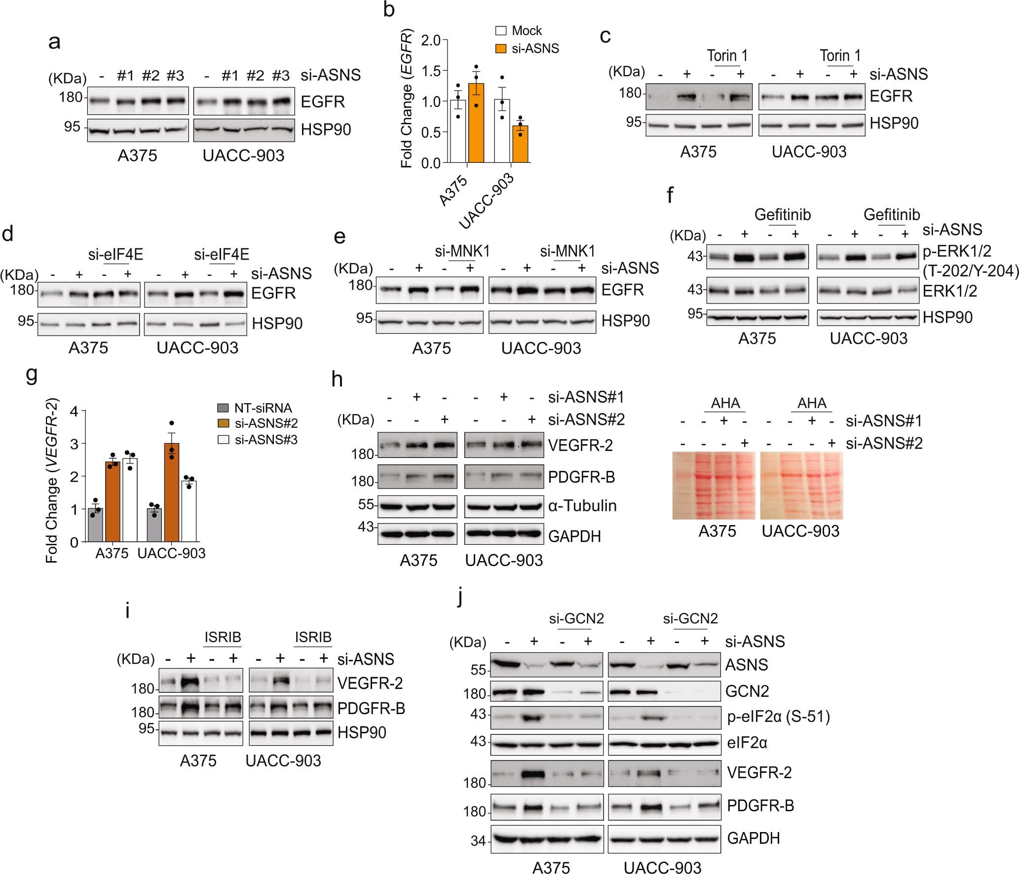 Extended Data Fig. 6