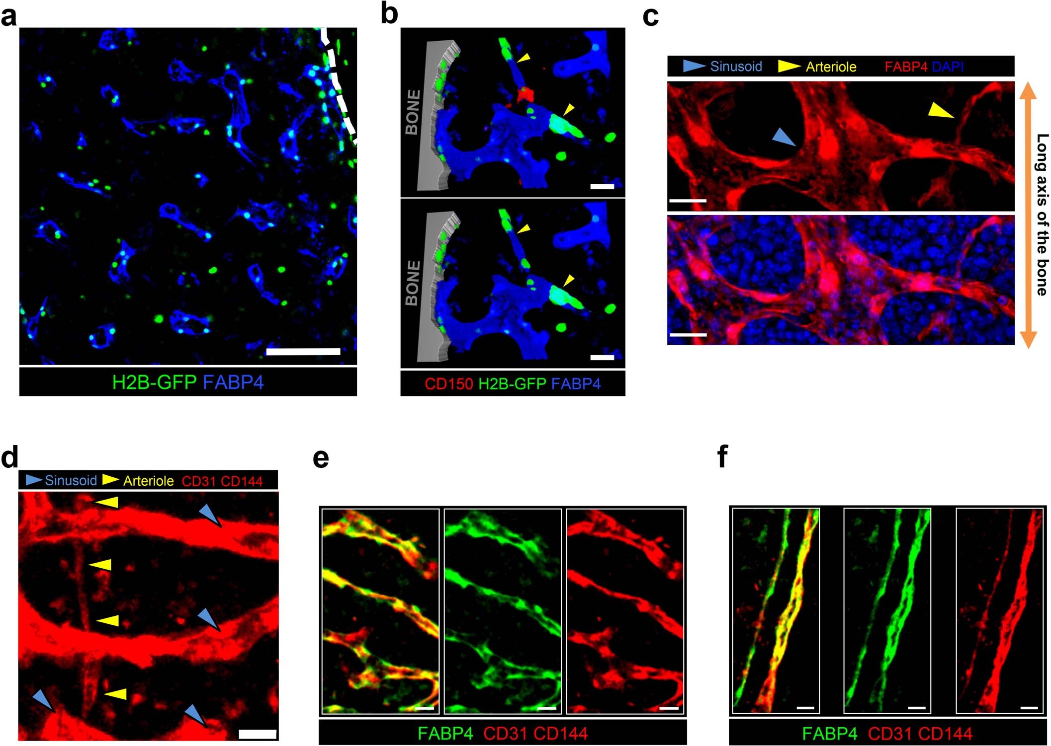 Extended Data Fig. 3