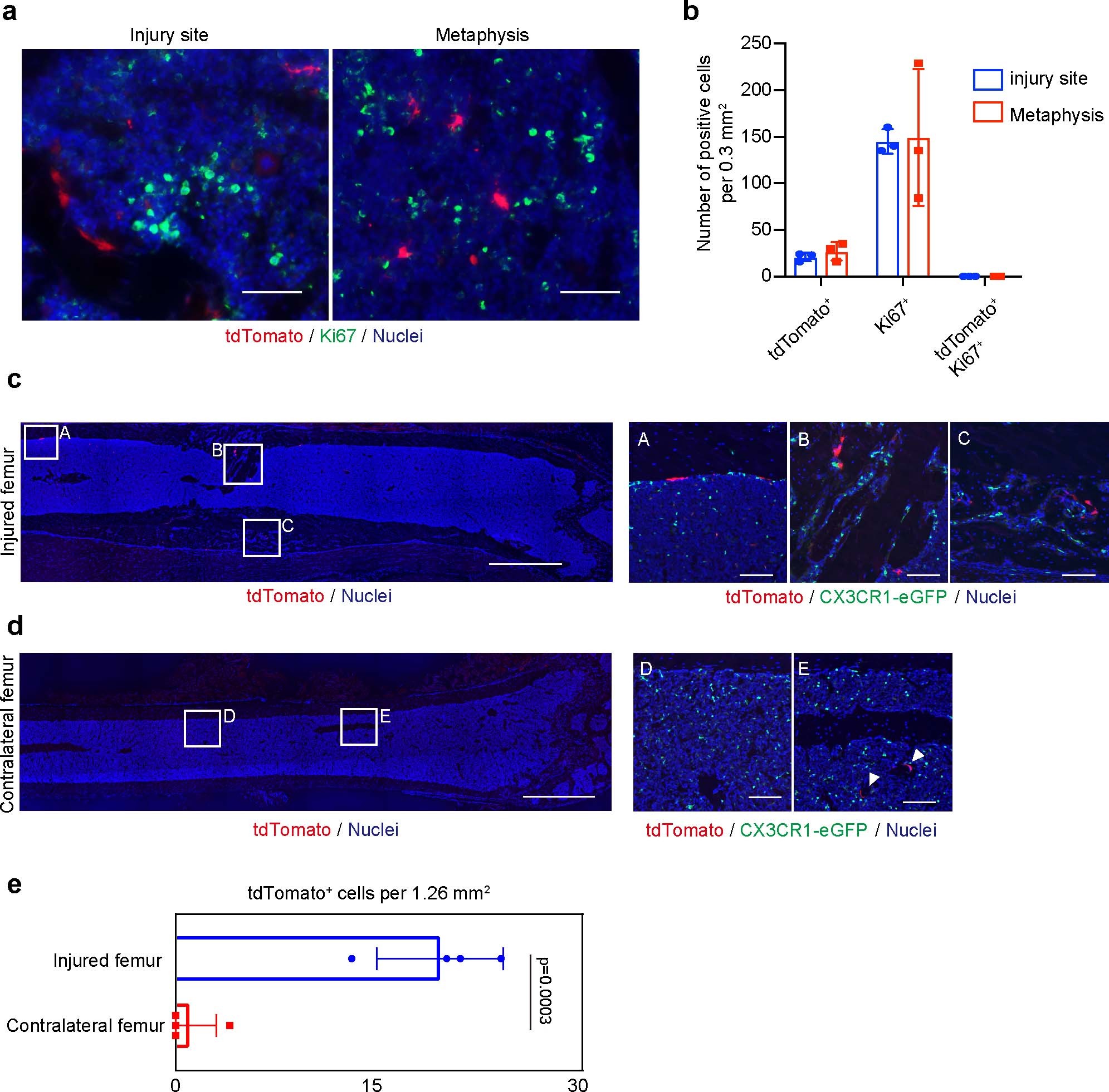 Extended Data Fig. 7