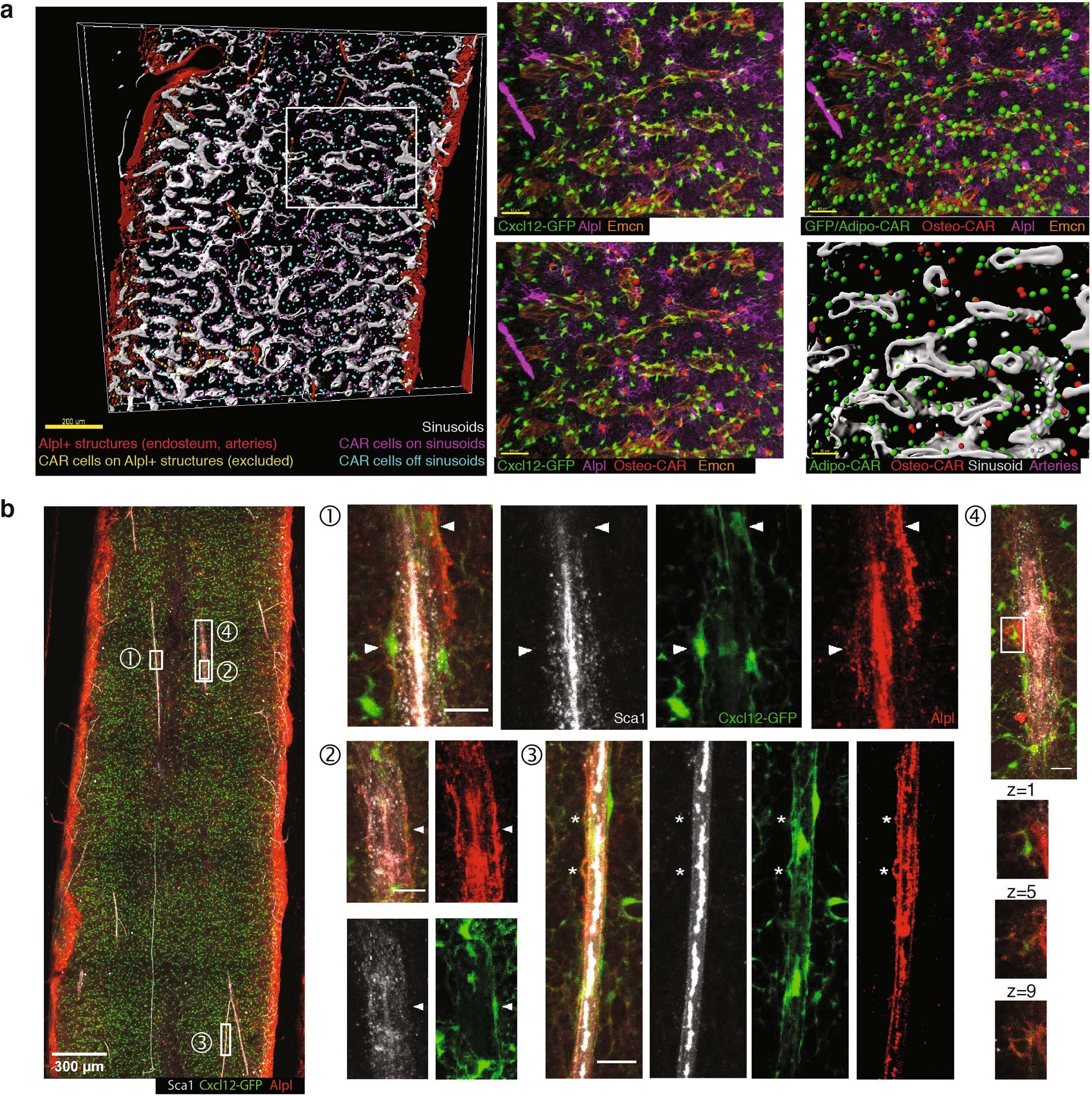 Extended Data Fig. 8