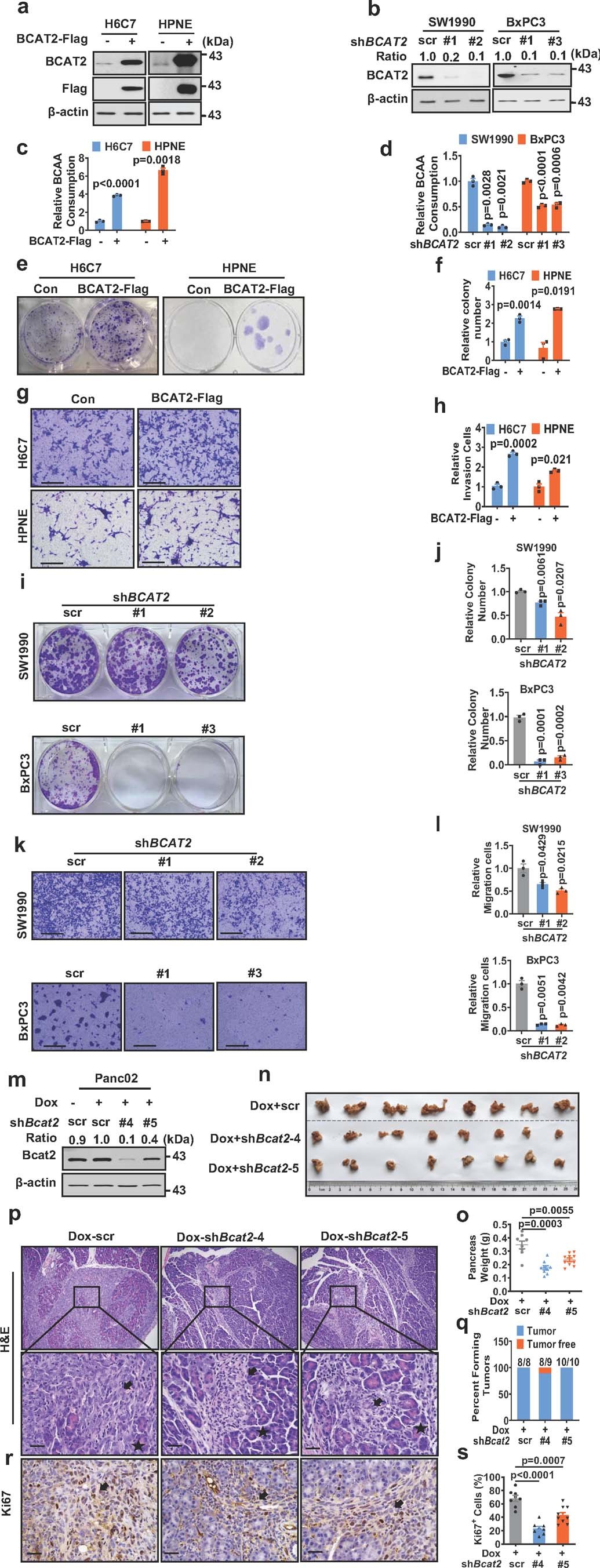 Extended Data Fig. 3