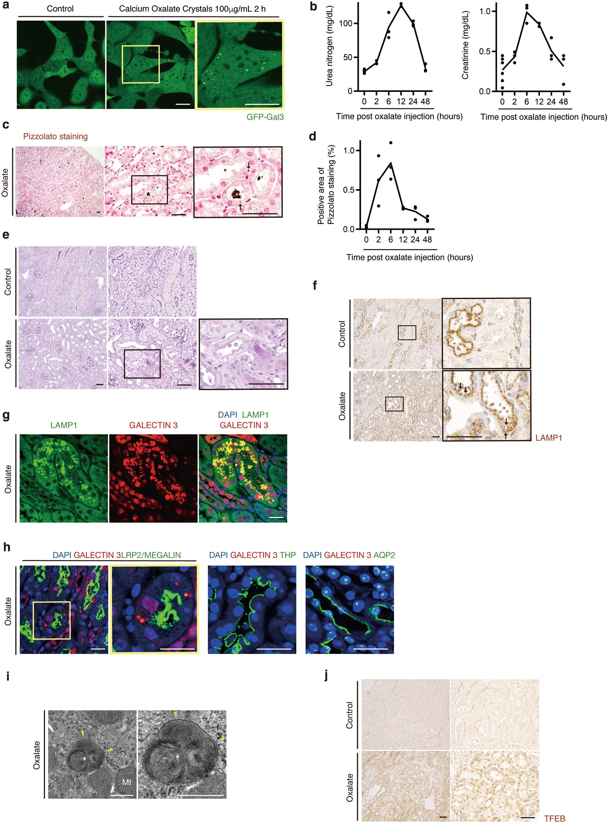 Extended Data Fig. 7