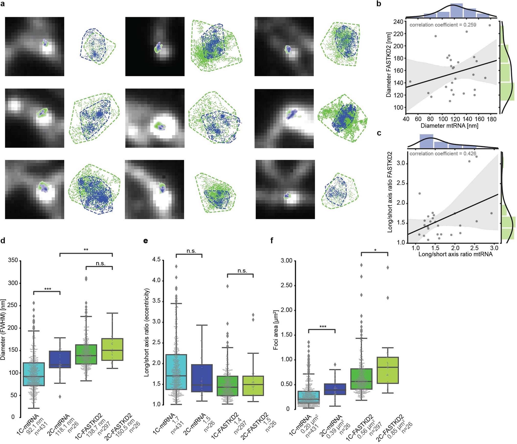 Extended Data Fig. 2: Comparison and correlation of two-colour htSTORM data.