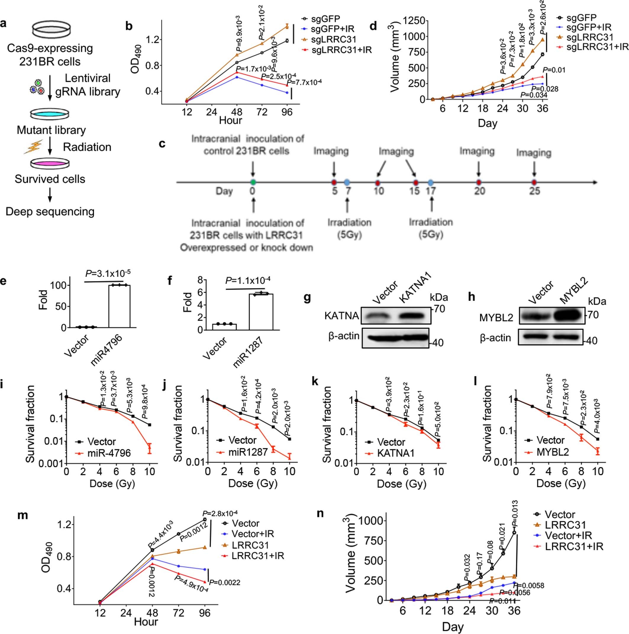 Extended Data Fig. 1: Characterize of lead candidate genes in vitro and in vivo.
